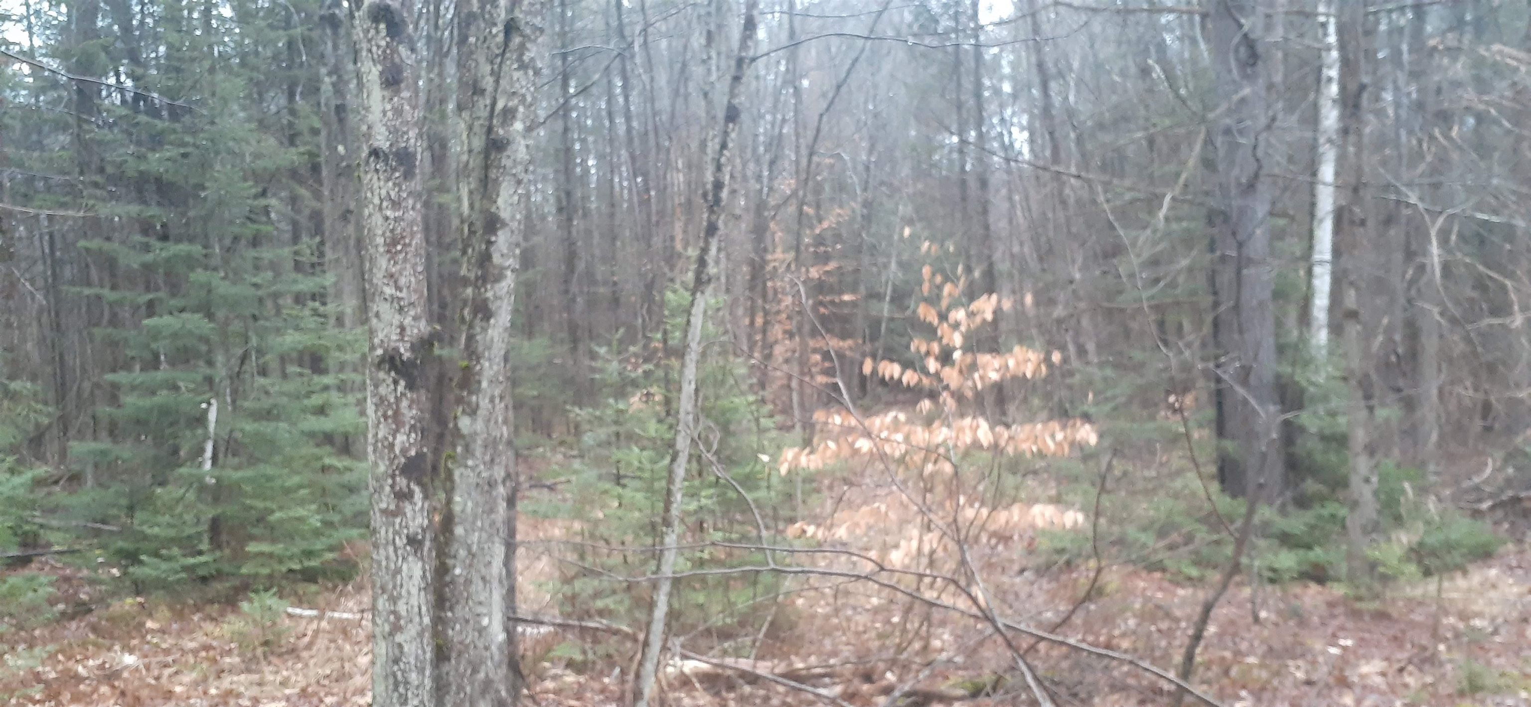 Homes for sale in Lempster, NH | 0 Allen Rd, Lempster, NH 03605 | MLS# 4959812