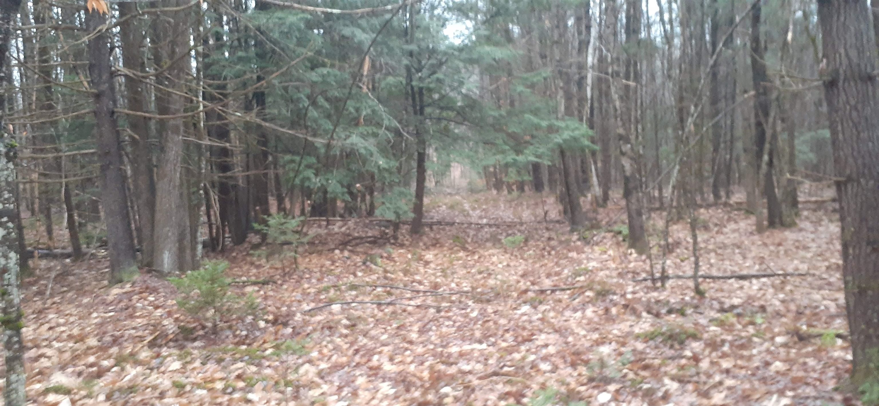 Homes for sale in Lempster, NH | 0 Allen Rd, Lempster, NH 03605 | MLS# 4959812