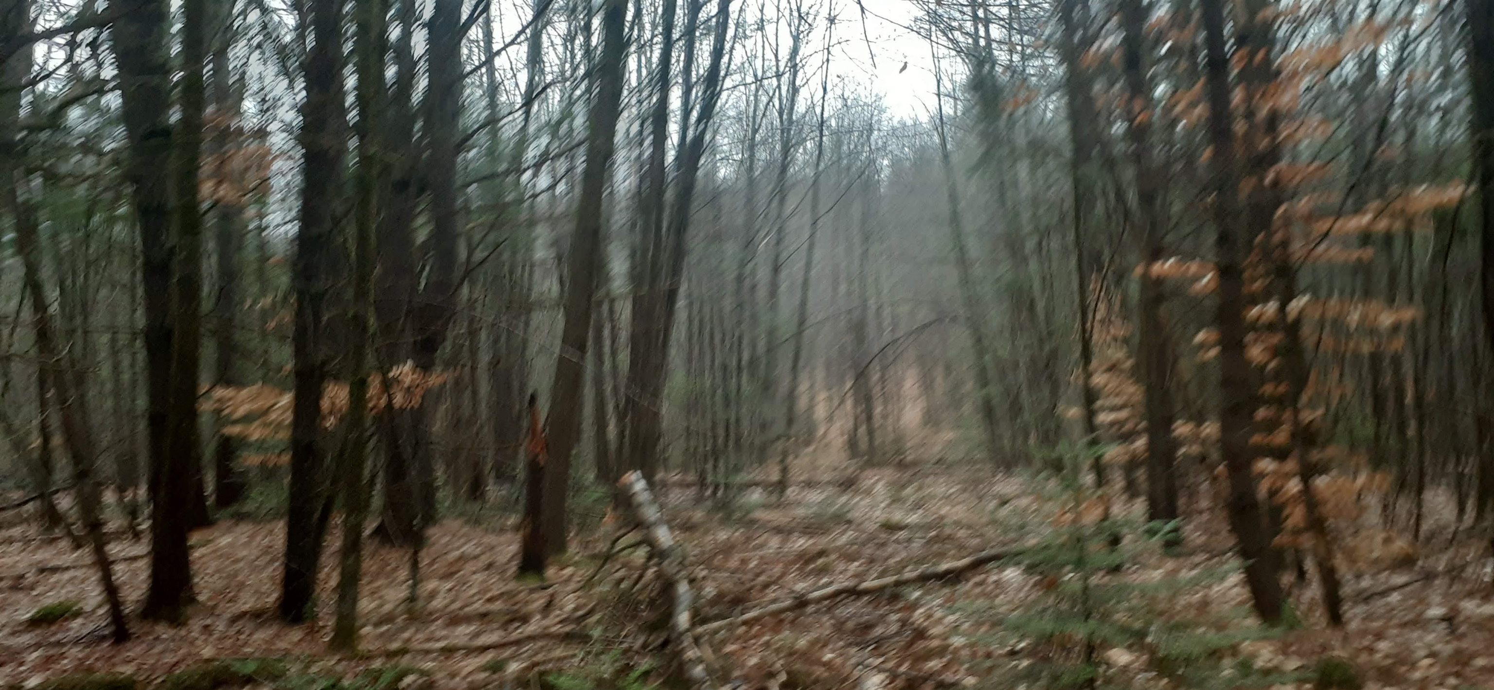 Homes for sale in Lempster, NH | 0 Allen Rd, Lempster, NH 03605 | MLS# 4959812