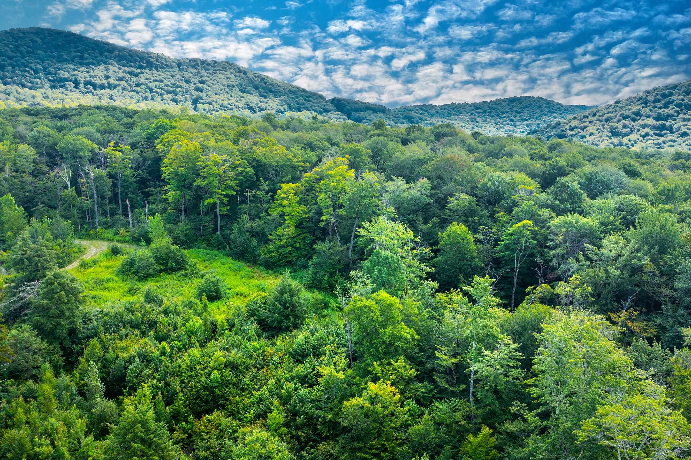 Homes for sale in Winhall, VT | Lot 3 Route 11/30, Winhall, VT 05340 | MLS# 4963233