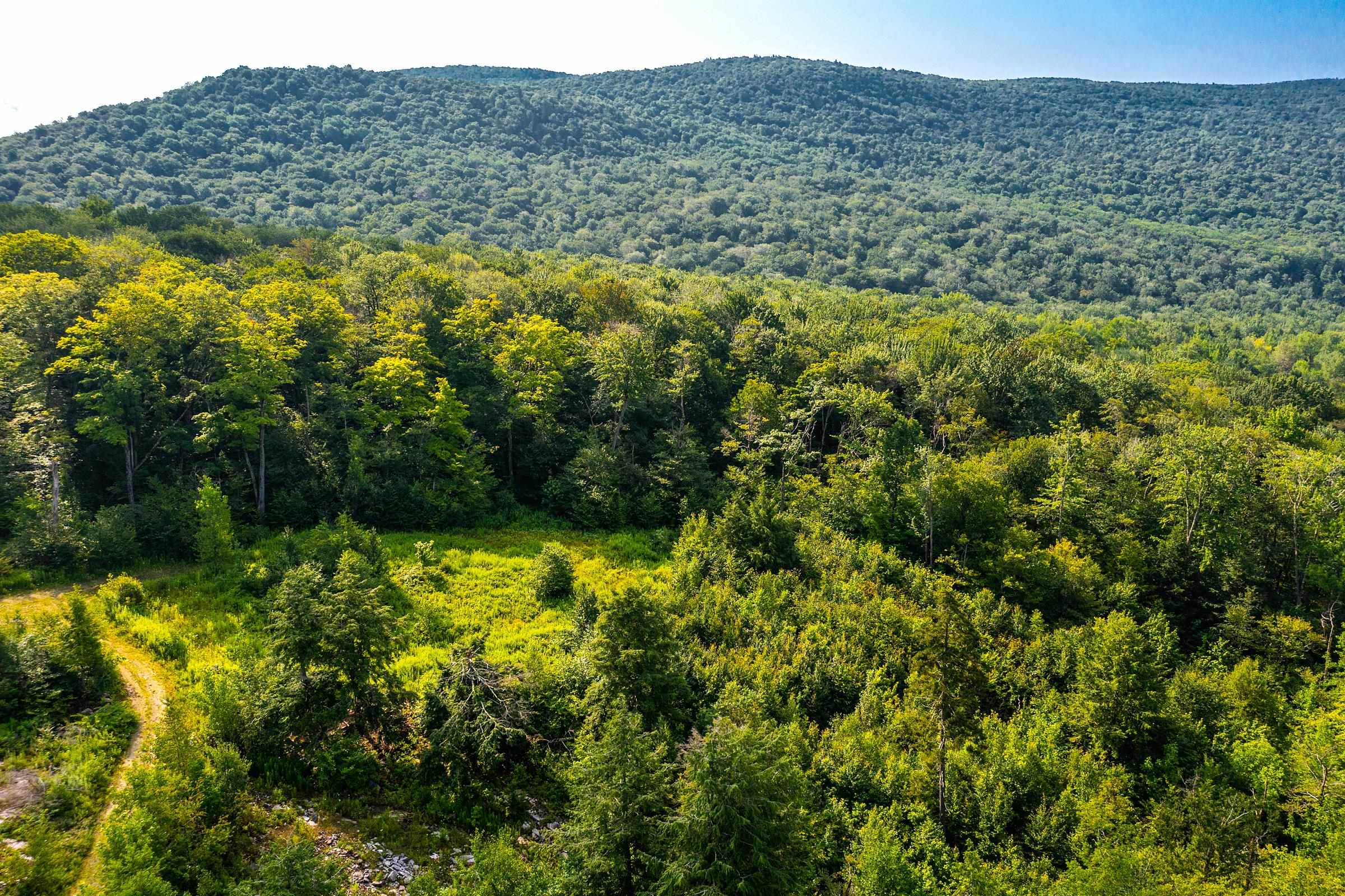 Homes for sale in Winhall, VT | Lot 3 Route 11/30, Winhall, VT 05340 | MLS# 4963233