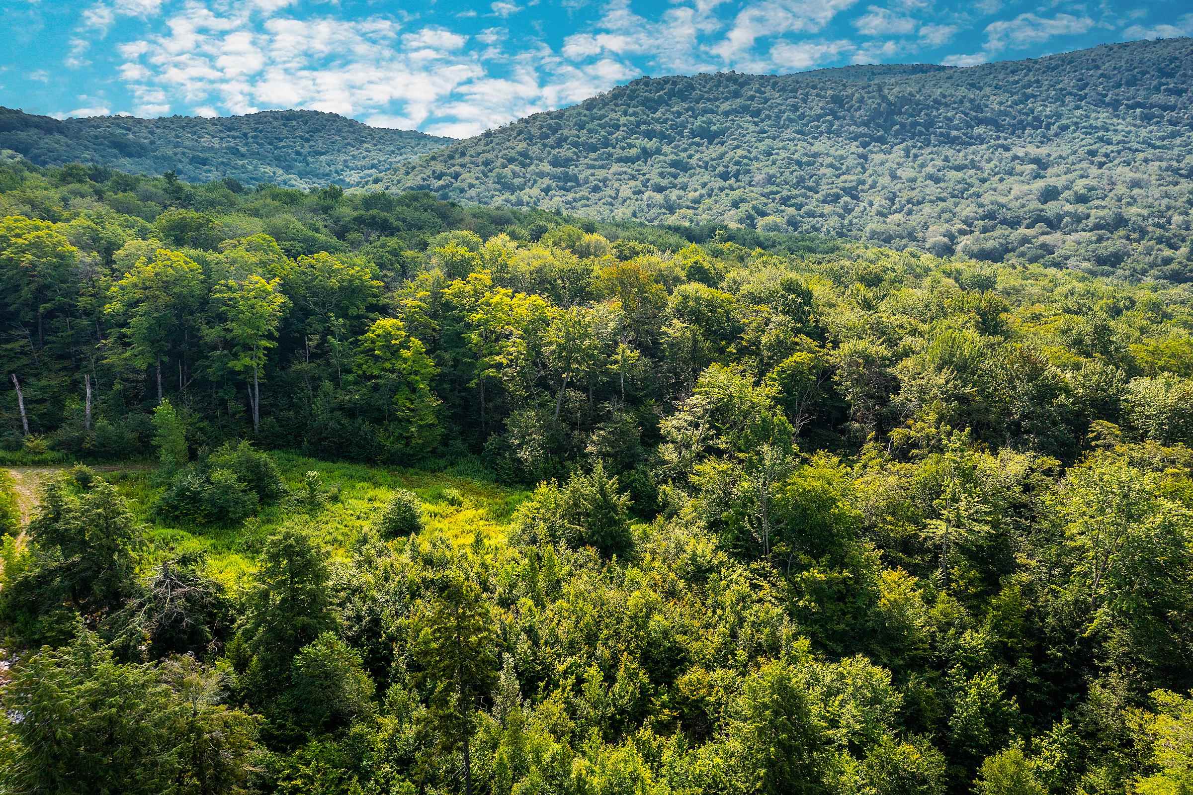 Homes for sale in Winhall, VT | Lot 3 Route 11/30, Winhall, VT 05340 | MLS# 4963233