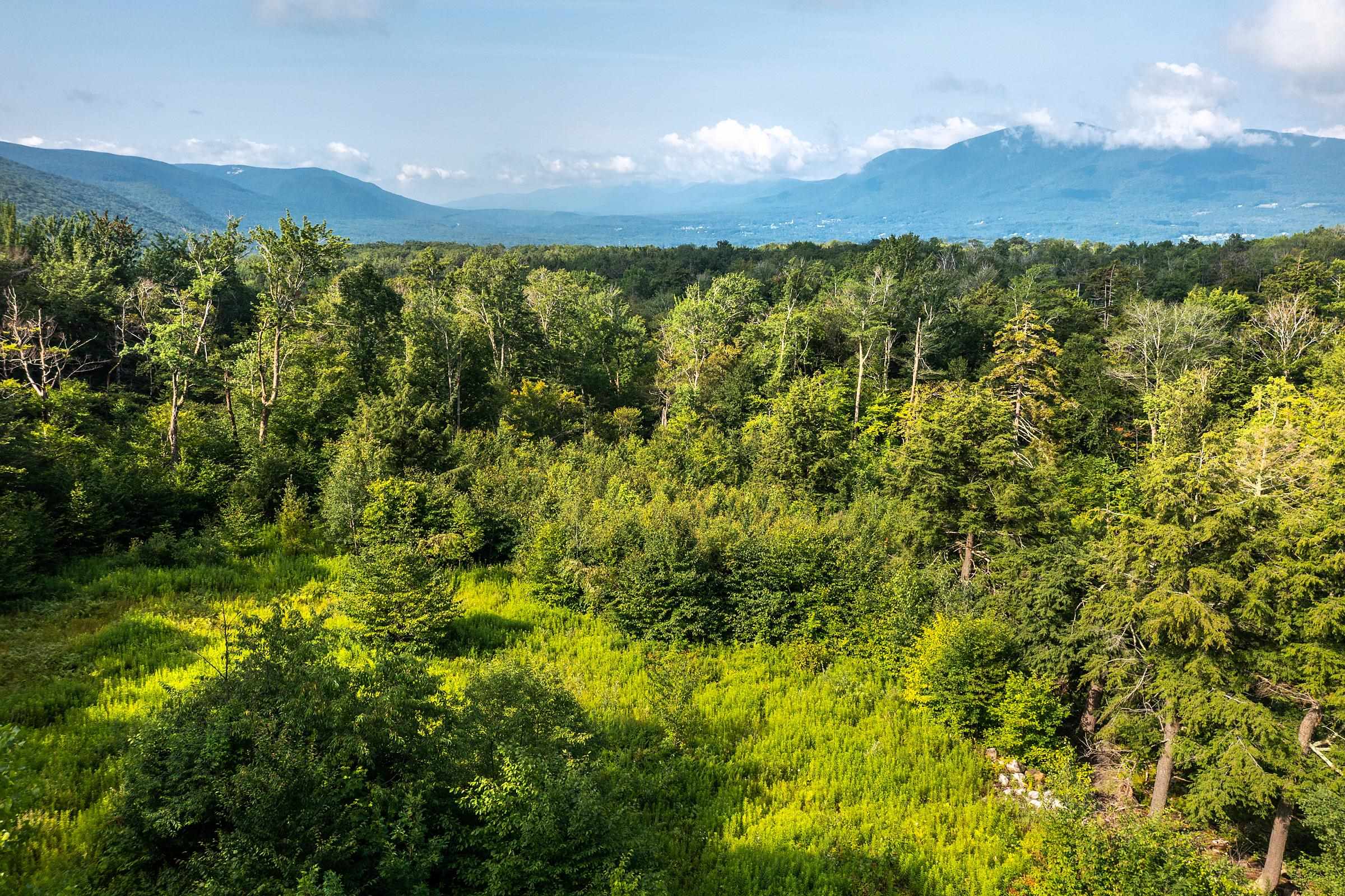 Homes for sale in Winhall, VT | Lot 3 Route 11/30, Winhall, VT 05340 | MLS# 4963233