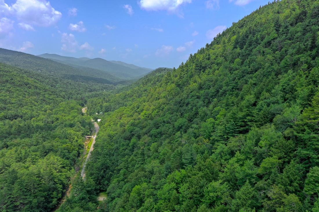 Homes for sale in Plymouth, VT | 00 Route 100, Plymouth, VT 05056 | MLS# 4963396