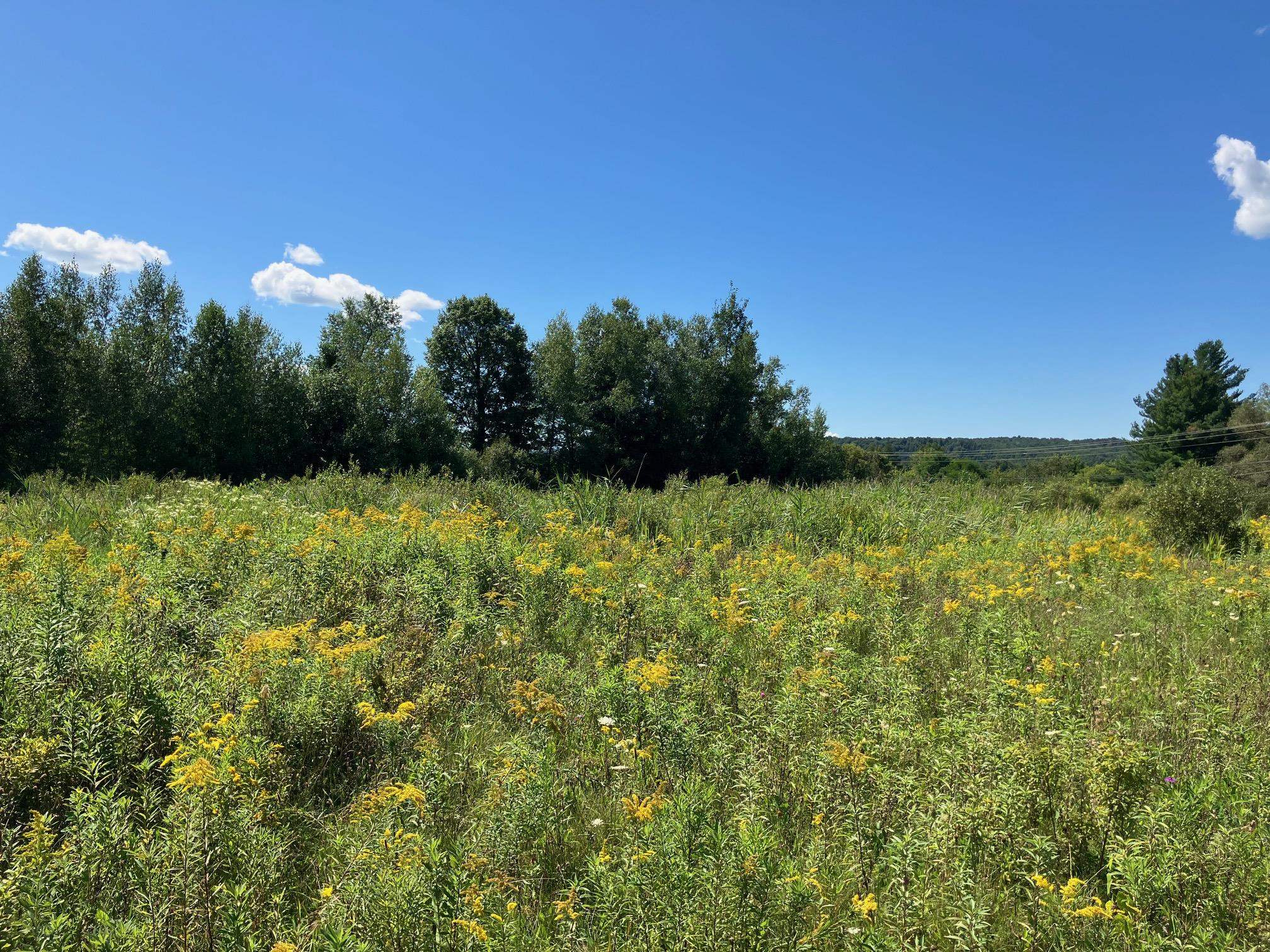 Homes for sale in Richford, VT | 311, Lot 1 Main St, Richford, VT 05476 | MLS# 4967191