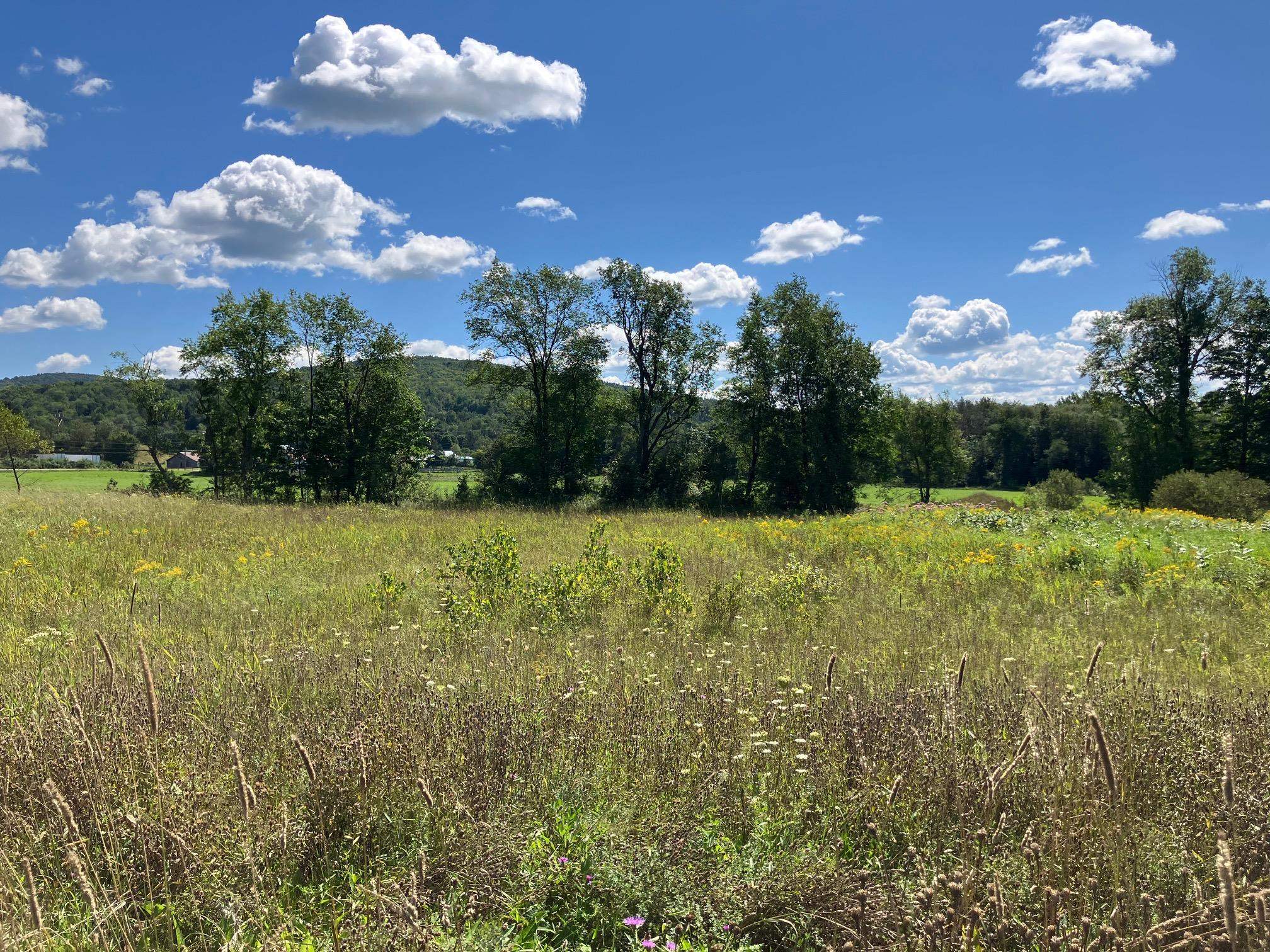 Homes for sale in Richford, VT | 311, Lot 6 Main St, Richford, VT 05476 | MLS# 4967427