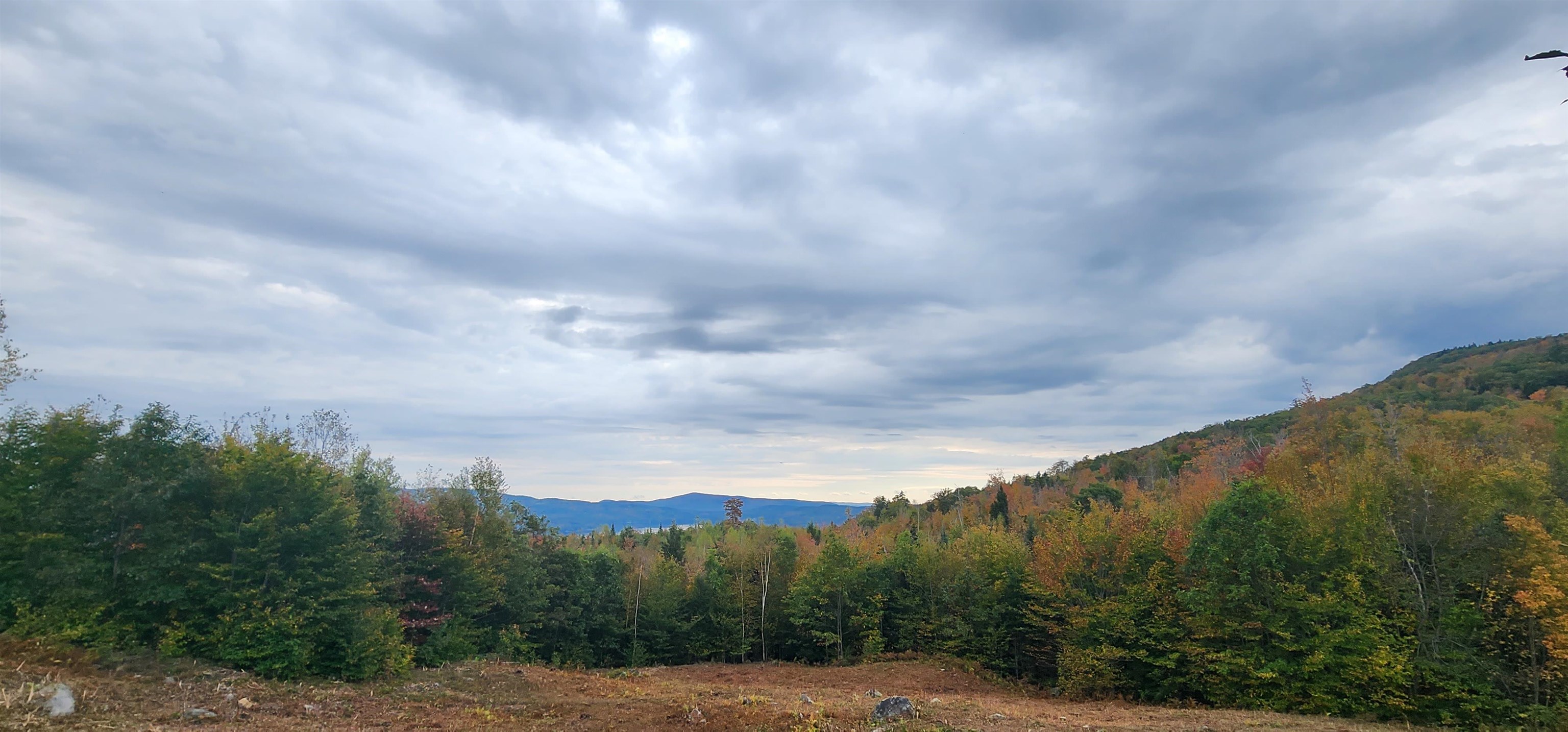 MLS #4972538 image #10