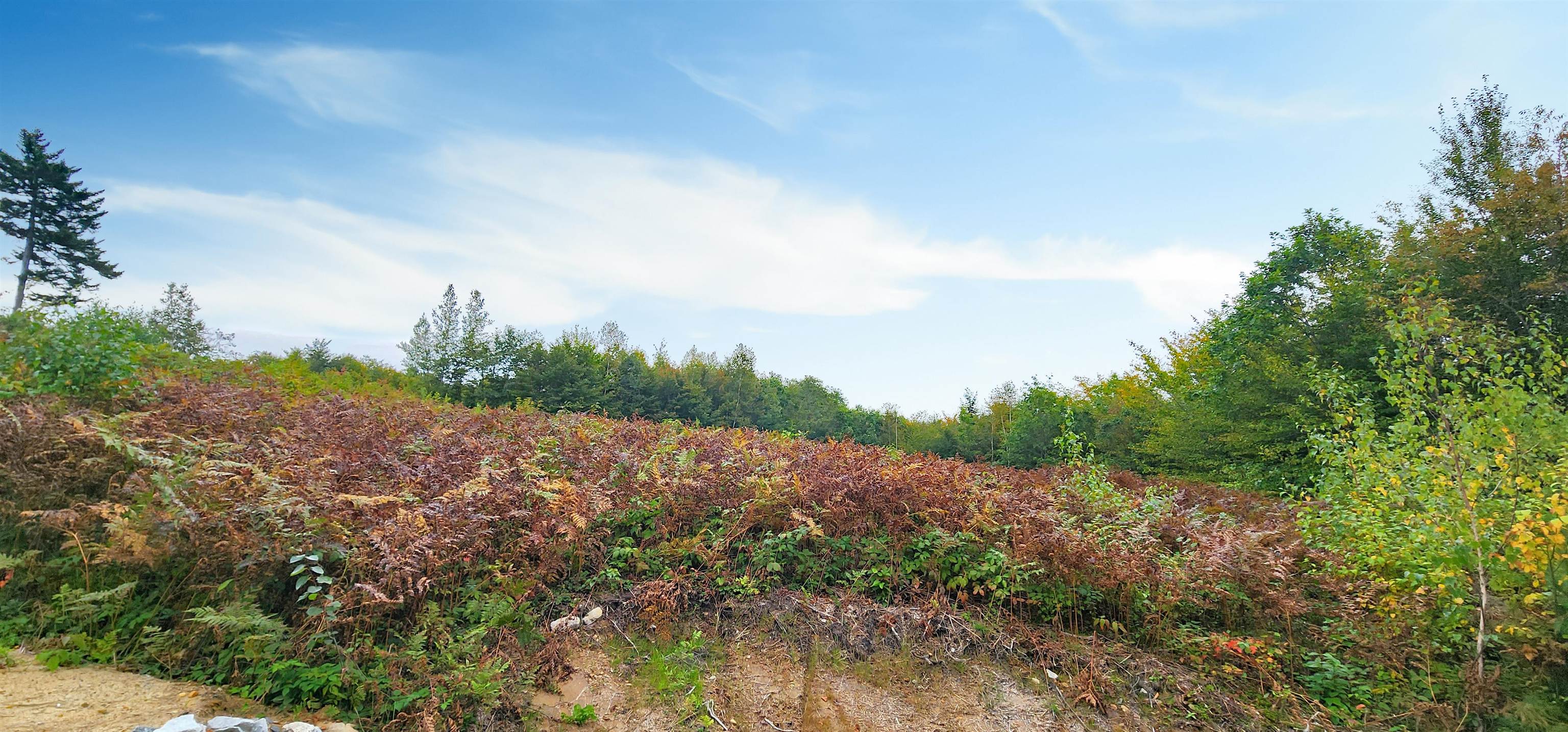 MLS #4972538 image #11