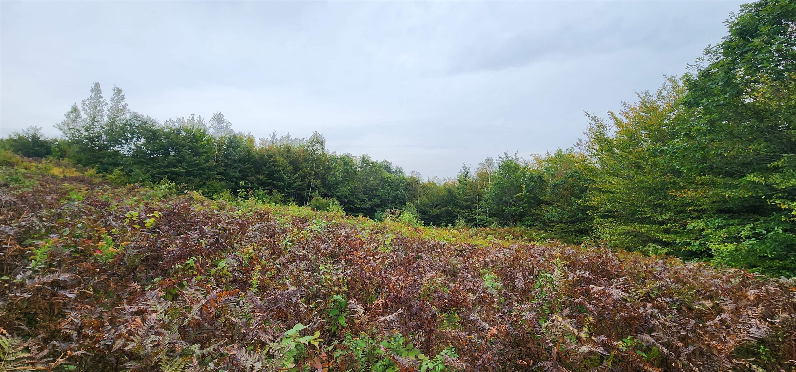 MLS #4972538 image #12