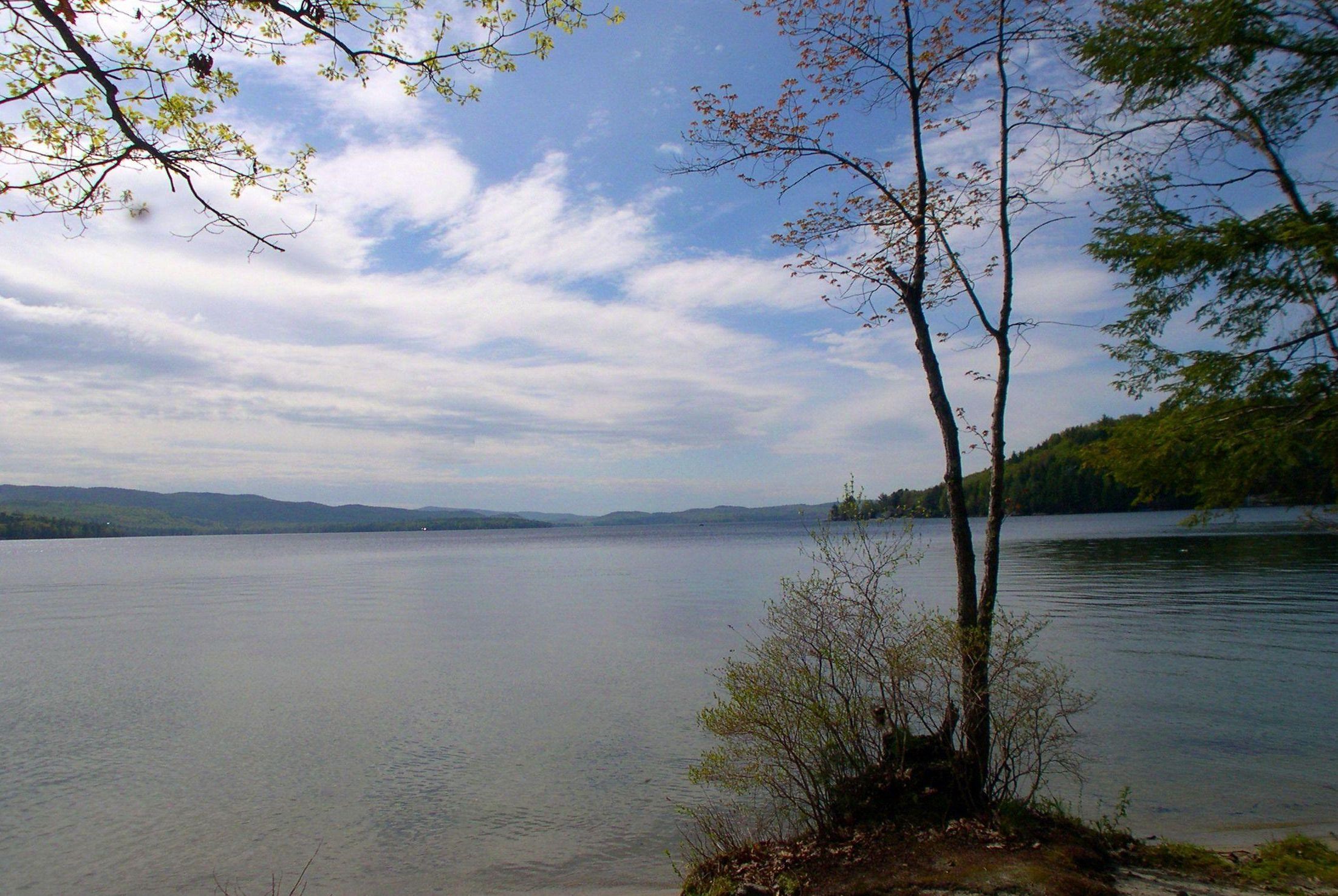 MLS #4972538 image #14