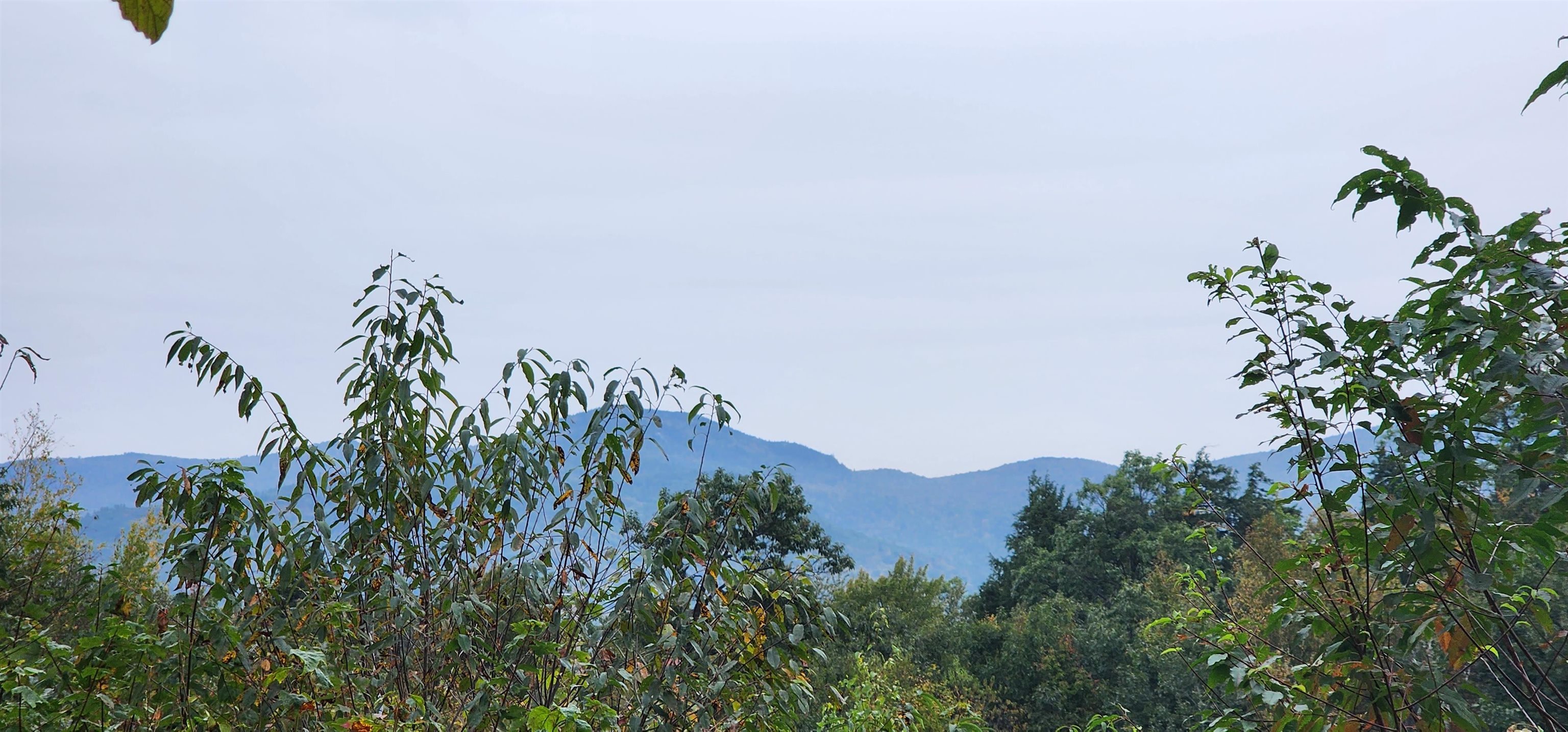 MLS #4972538 image #19