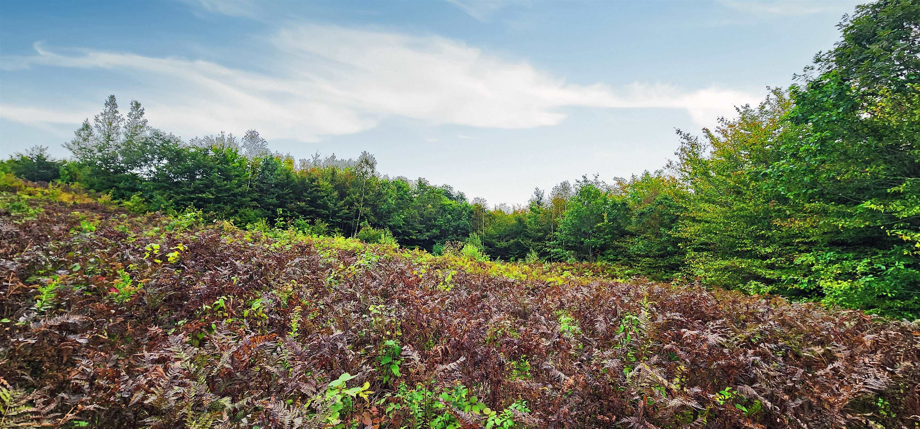 MLS #4972538 image #24