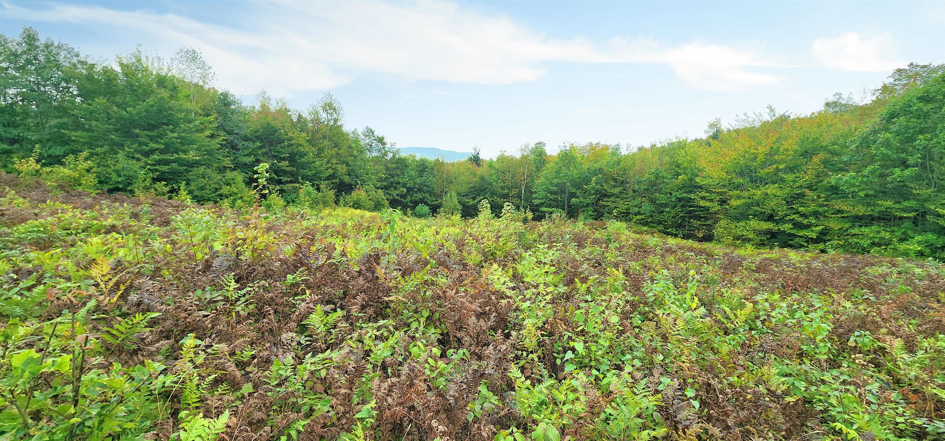 MLS #4972538 image #25