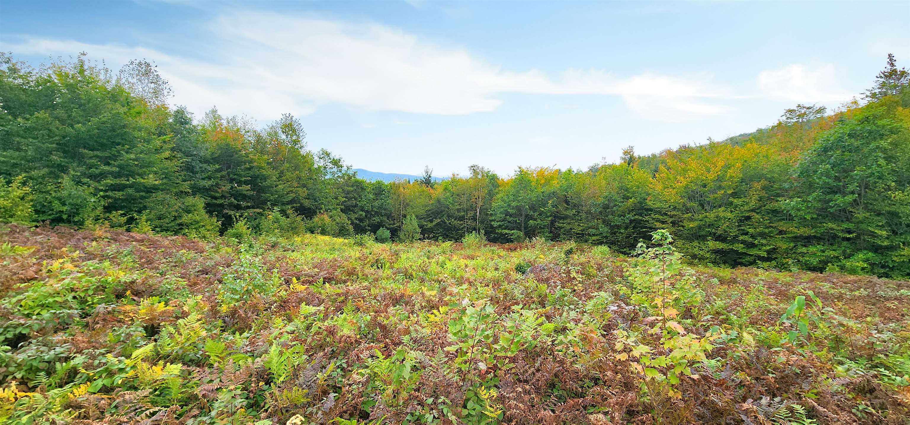 MLS #4972538 image #26