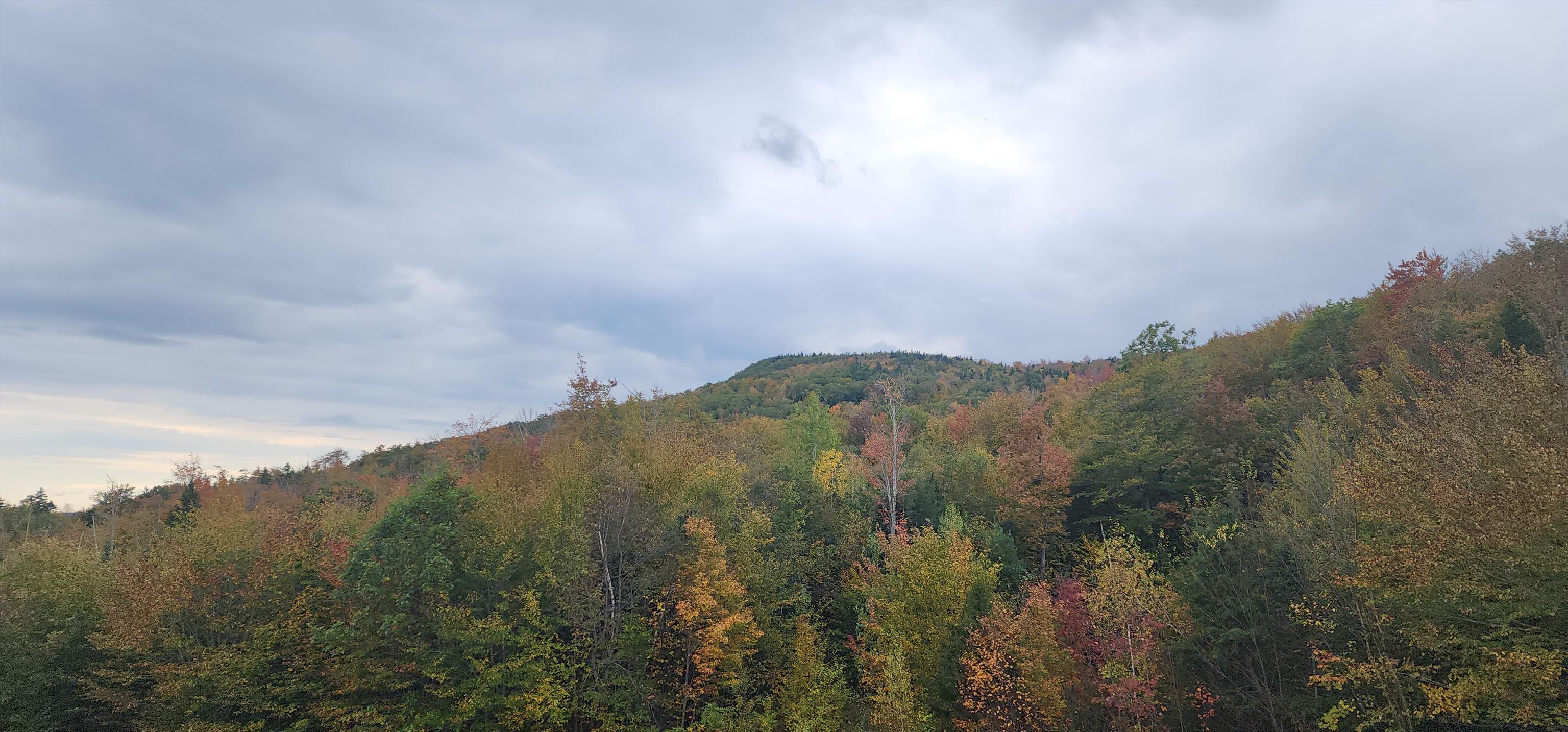 MLS #4972538 image #29