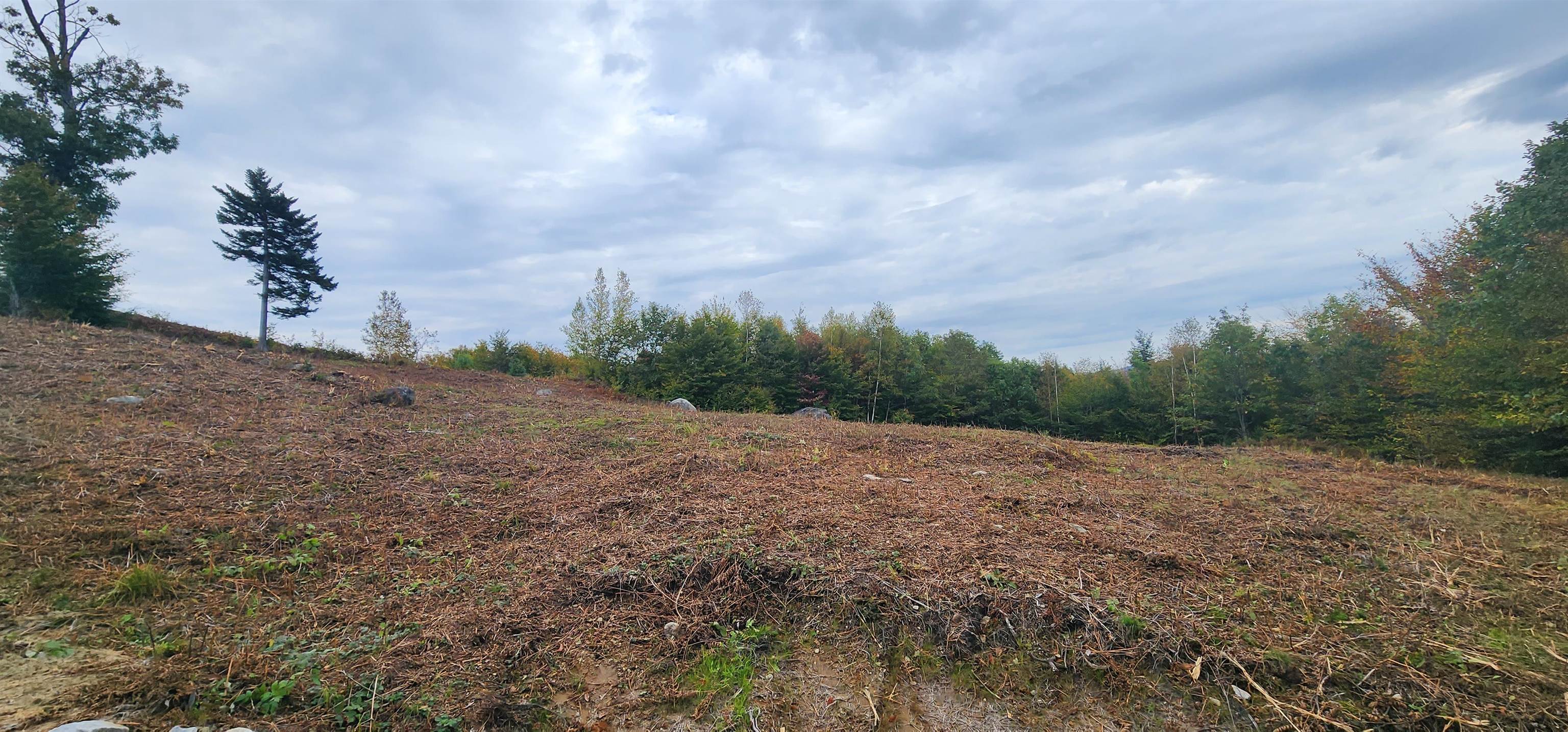 MLS #4972538 image #5