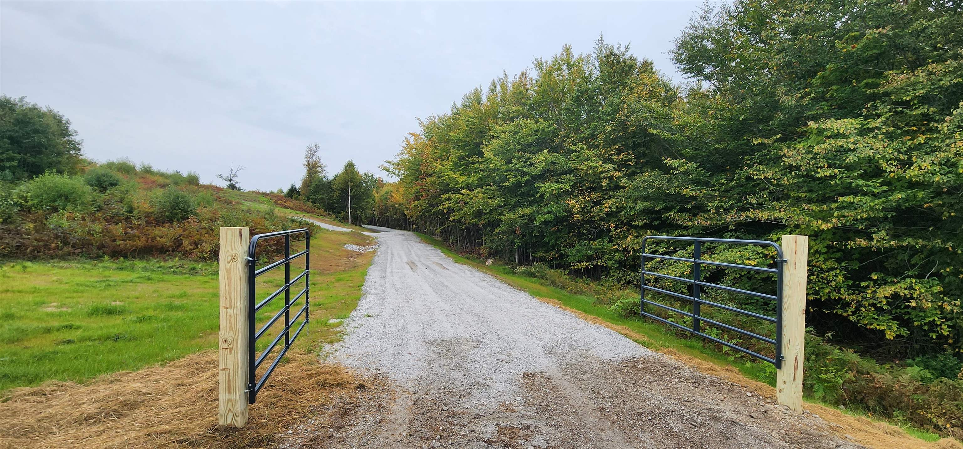 MLS #4972538 image #6