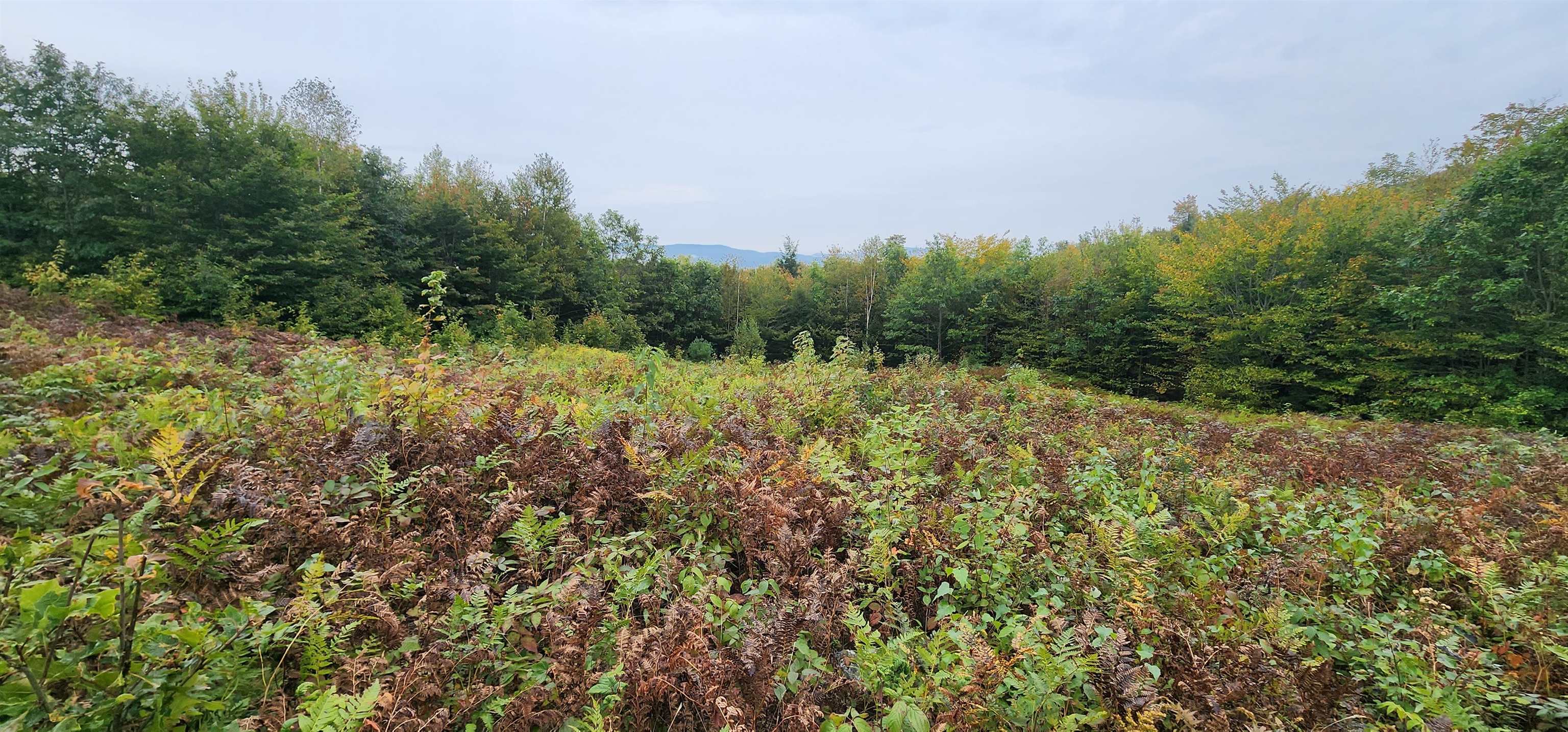 MLS #4972538 image #7