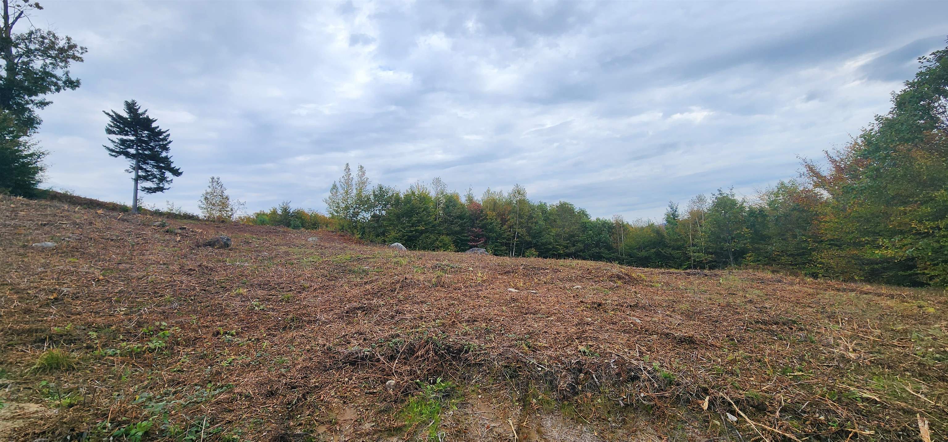 MLS #4972538 image #8