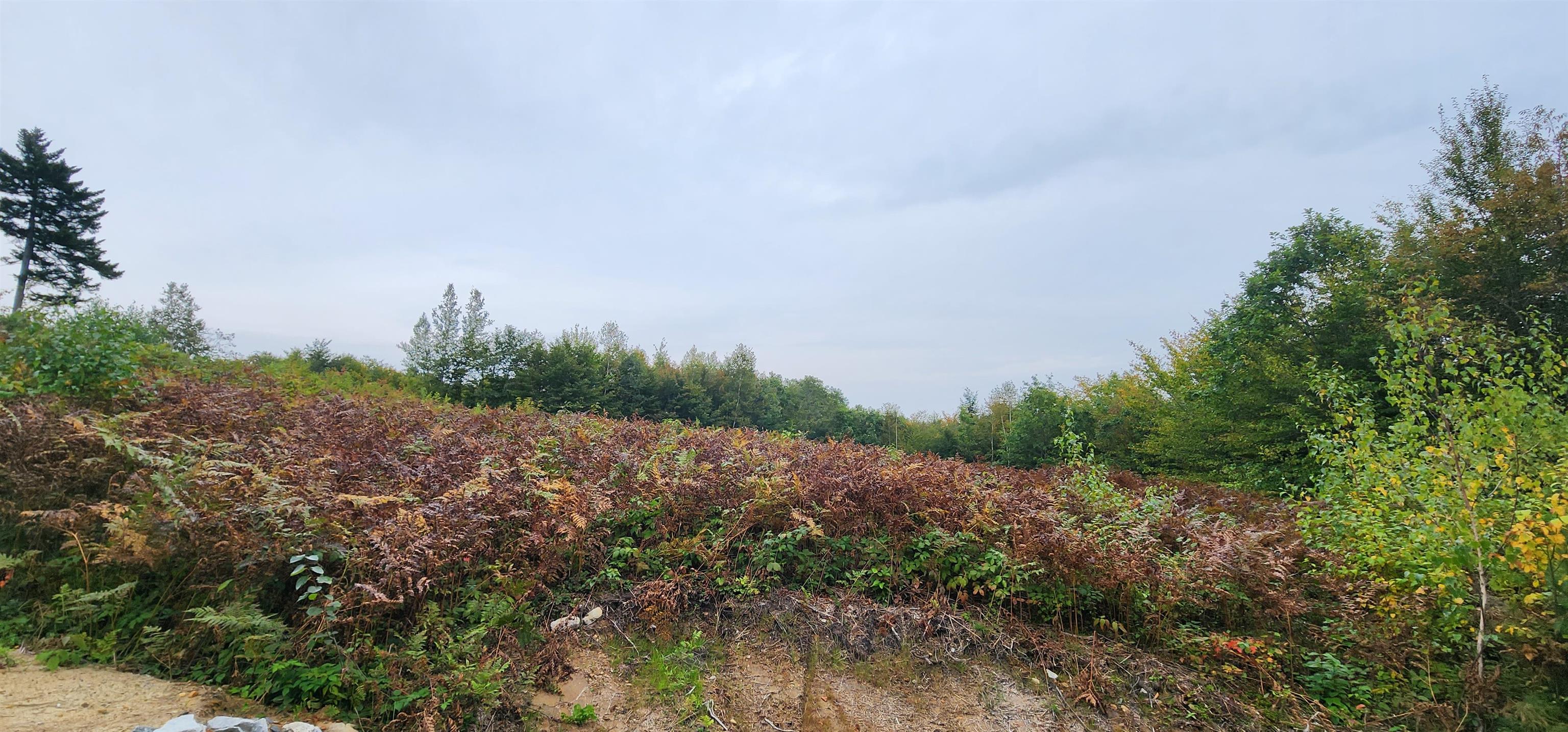 MLS #4972538 image #9