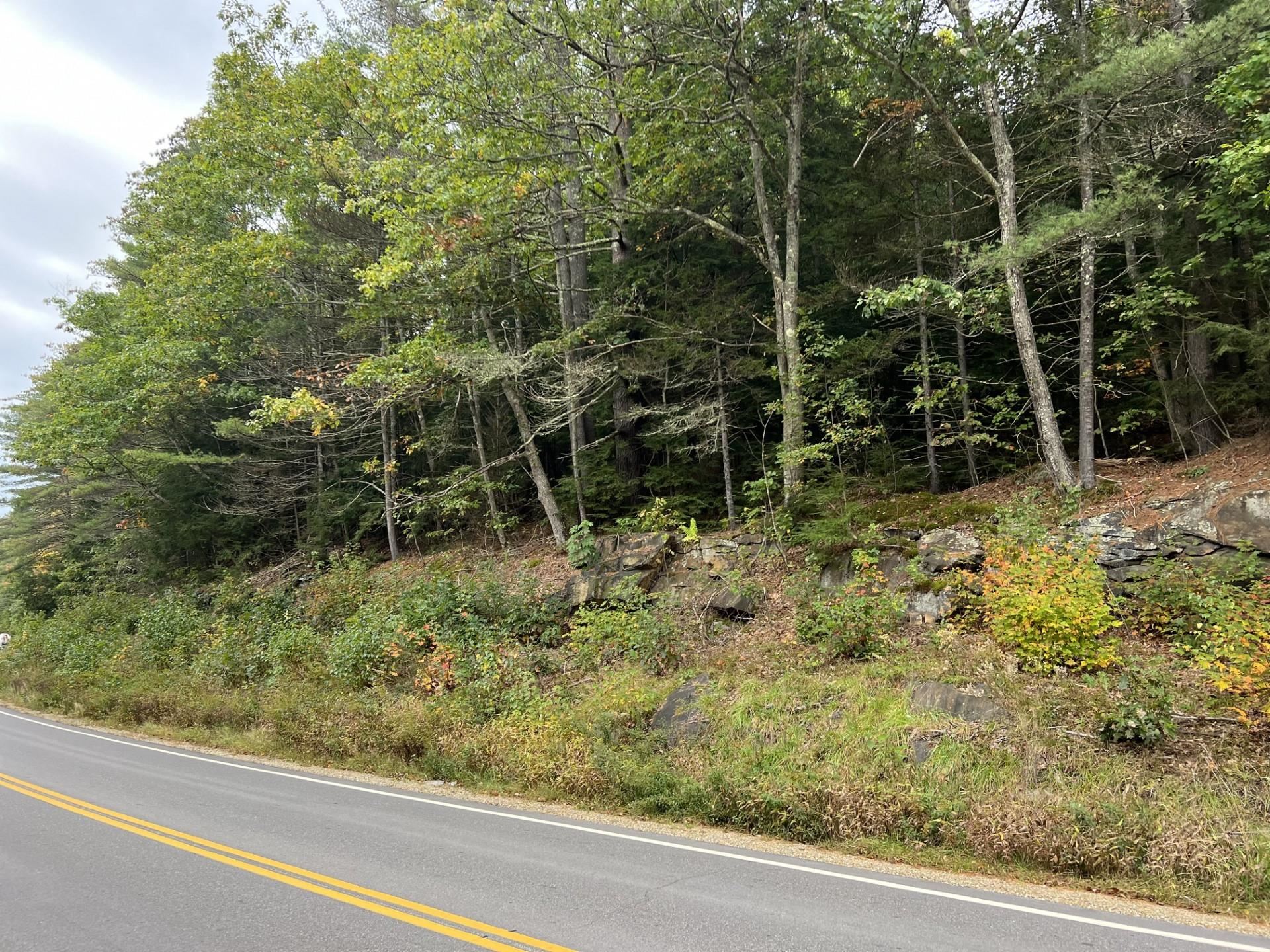 MLS #4973549 image #2