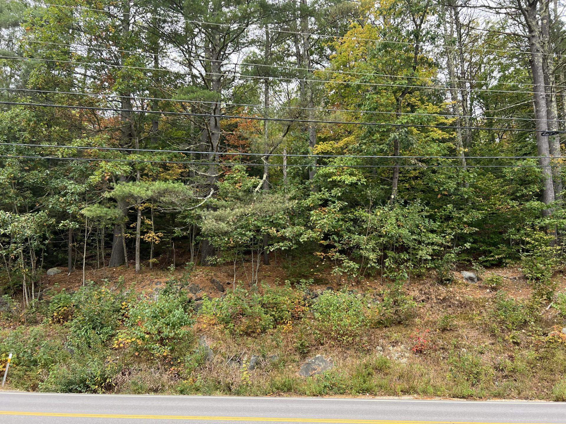 MLS #4973549 image #6