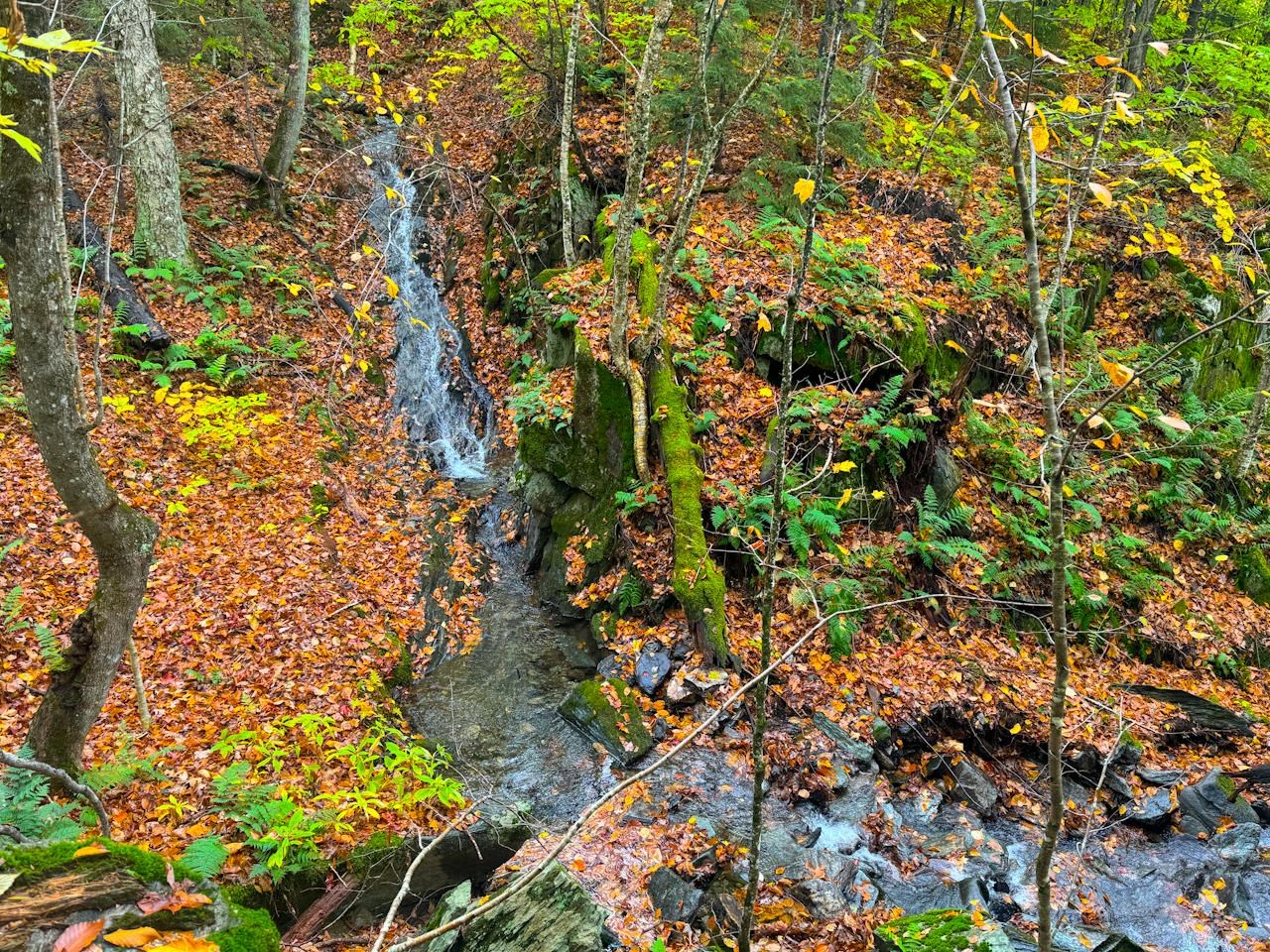 View of Abutting Waterfall from ROW 20742135
