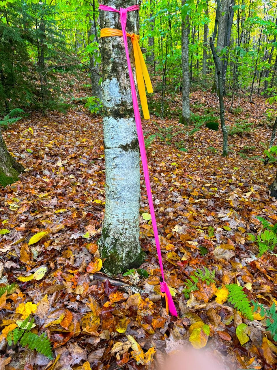 NW Cormer Rebar 20742123