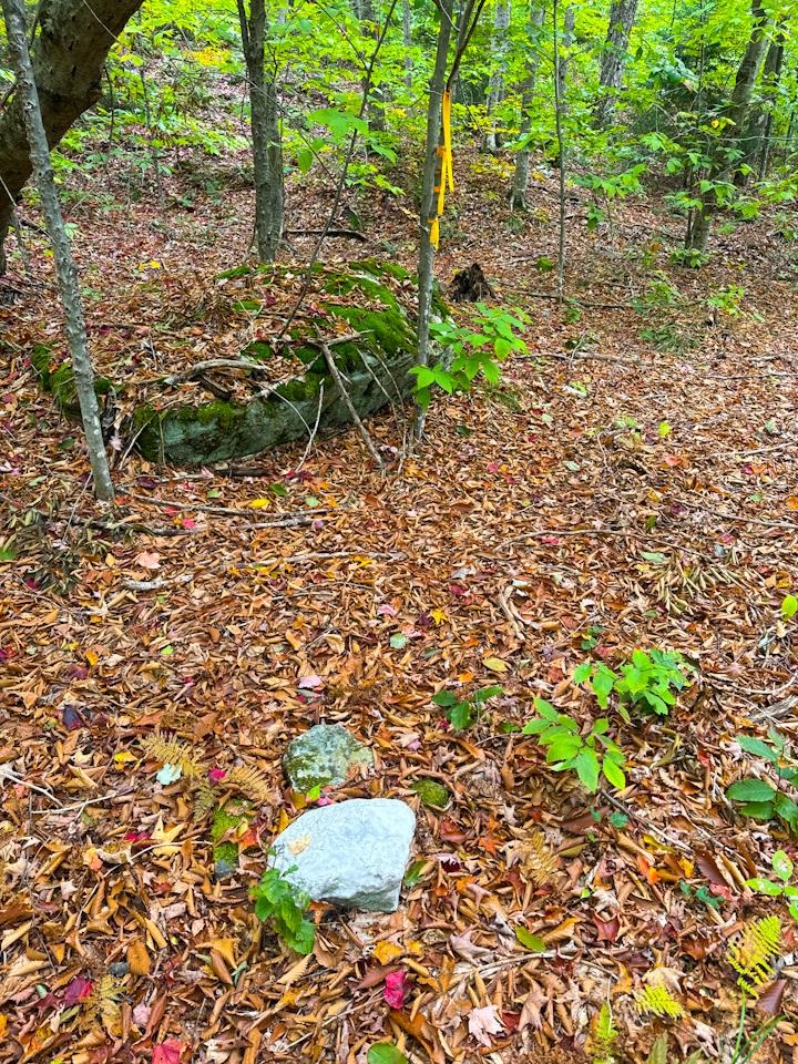 SW Corner Rebar 20742137