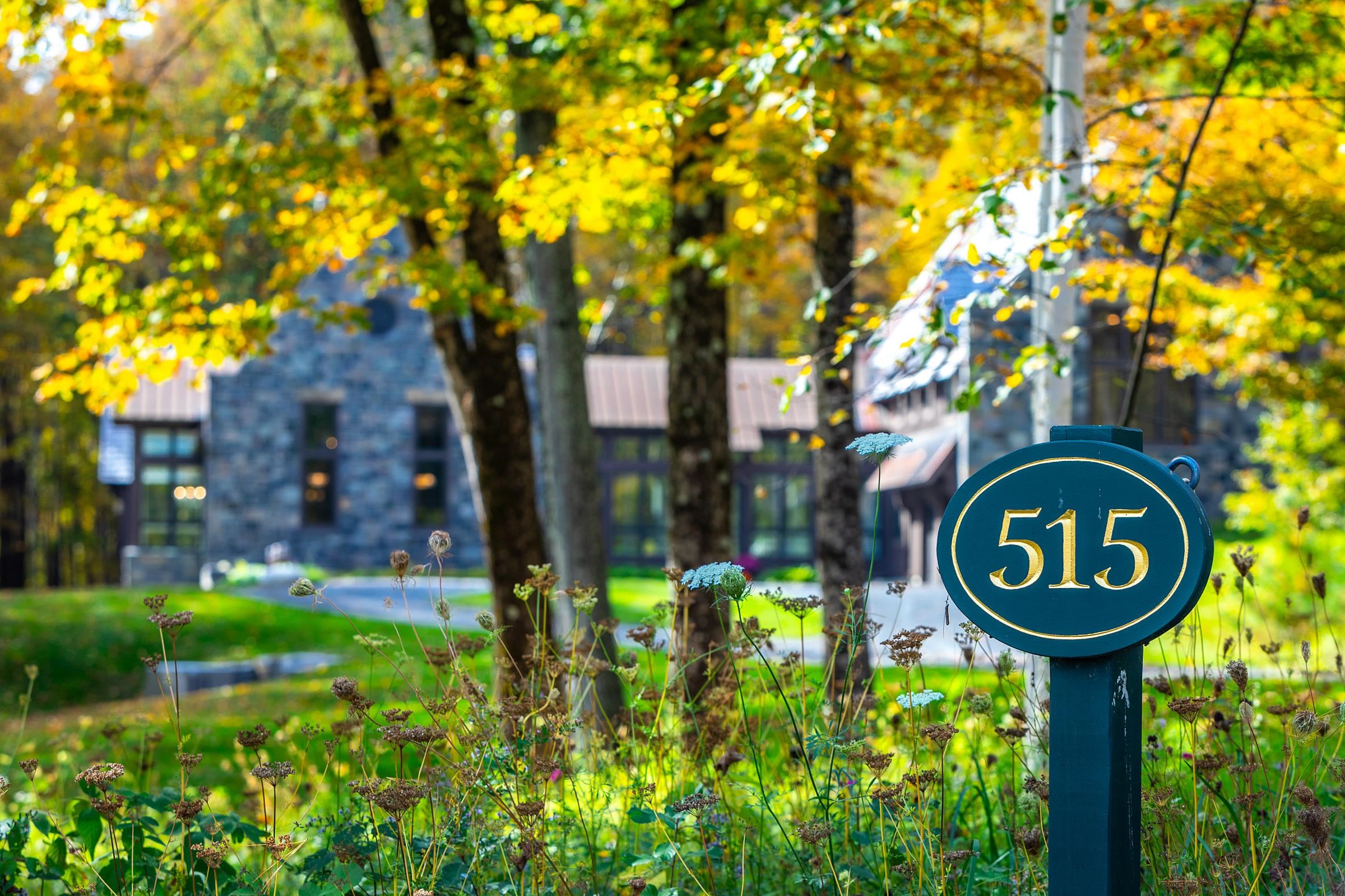 MLS #4974441 image #39