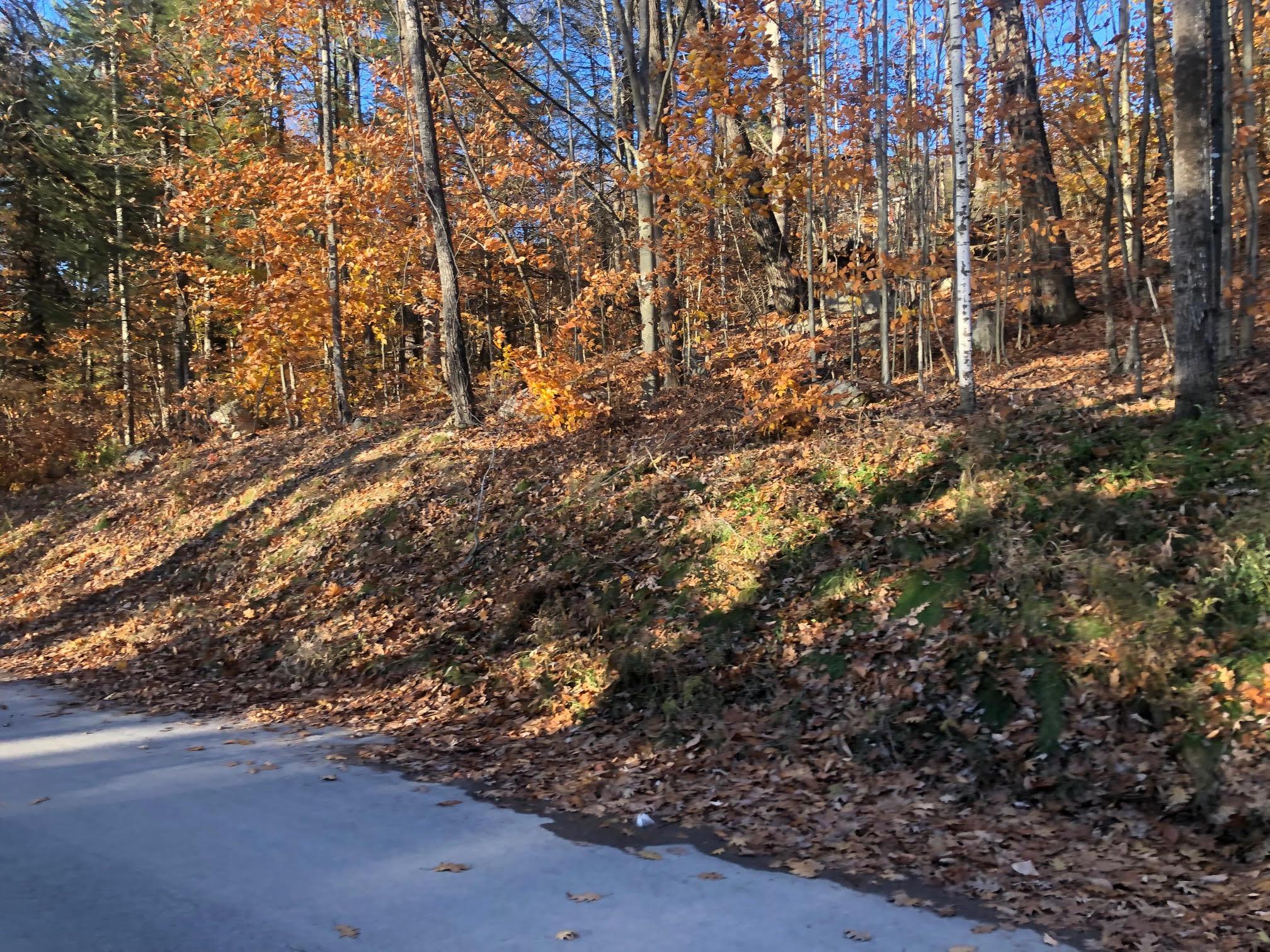 Homes for sale in Alton, NH | 70/61 63 Sunset Shore Dr, Alton, NH 03810 | MLS# 4977626