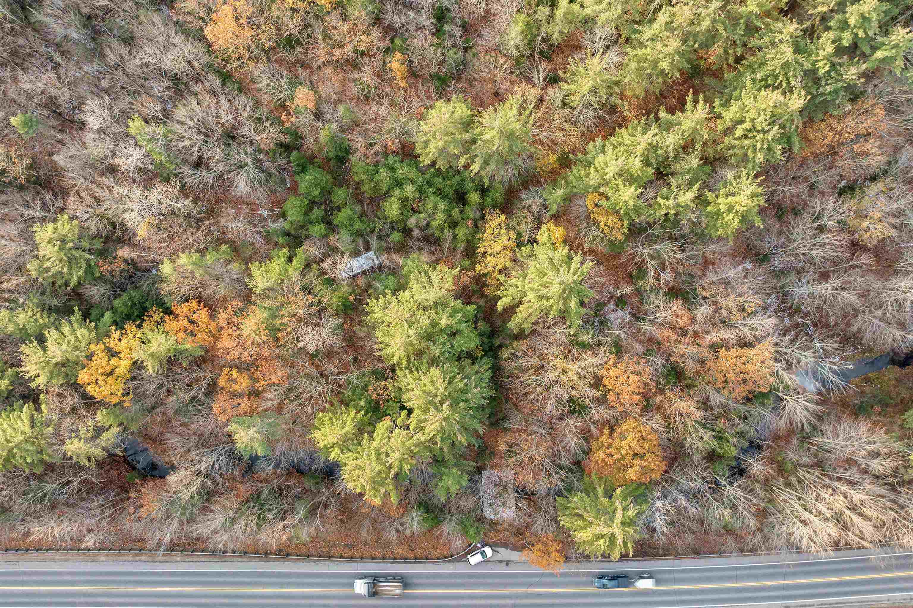 MLS #4977635 image #14