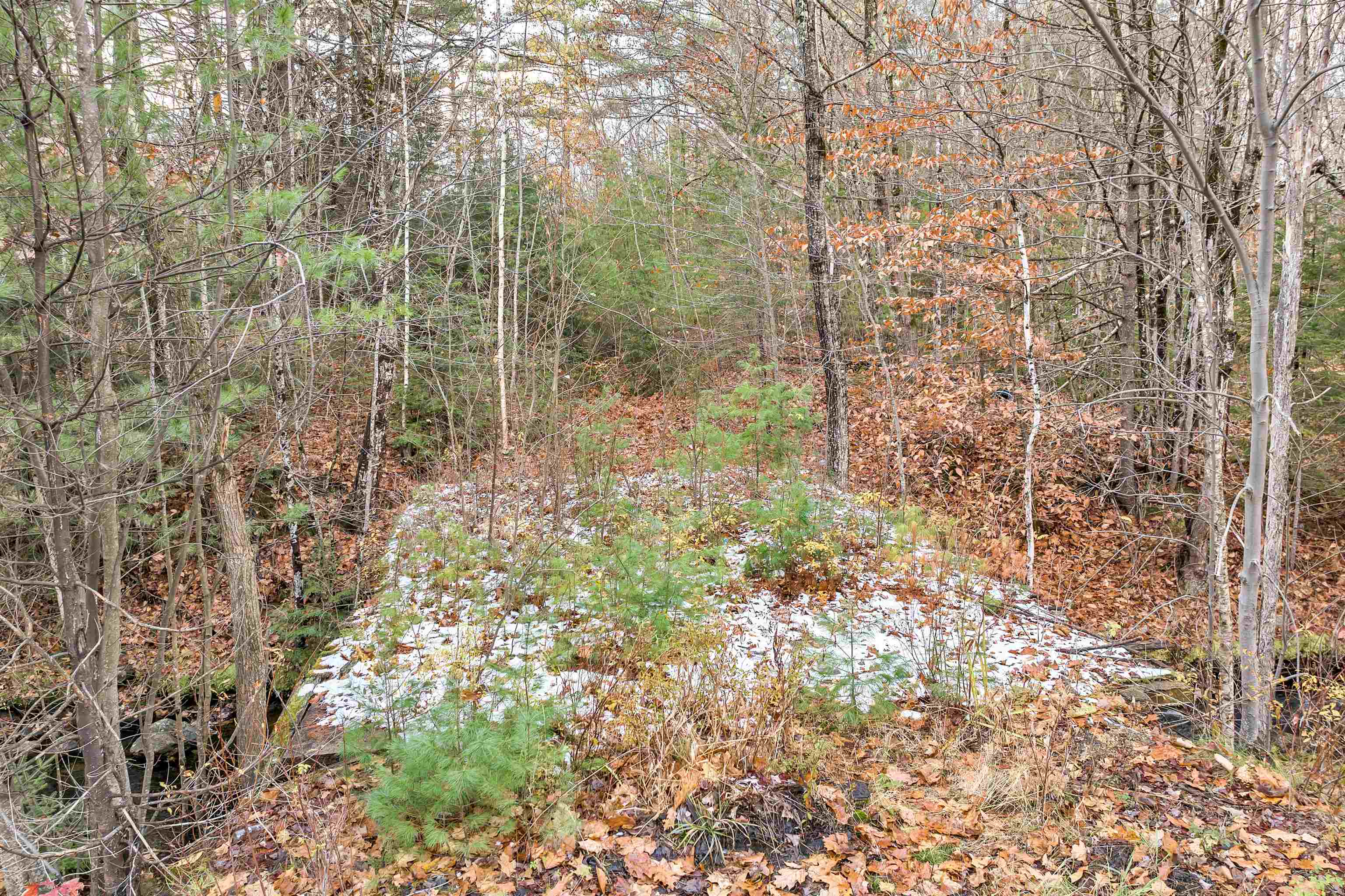 MLS #4977635 image #18