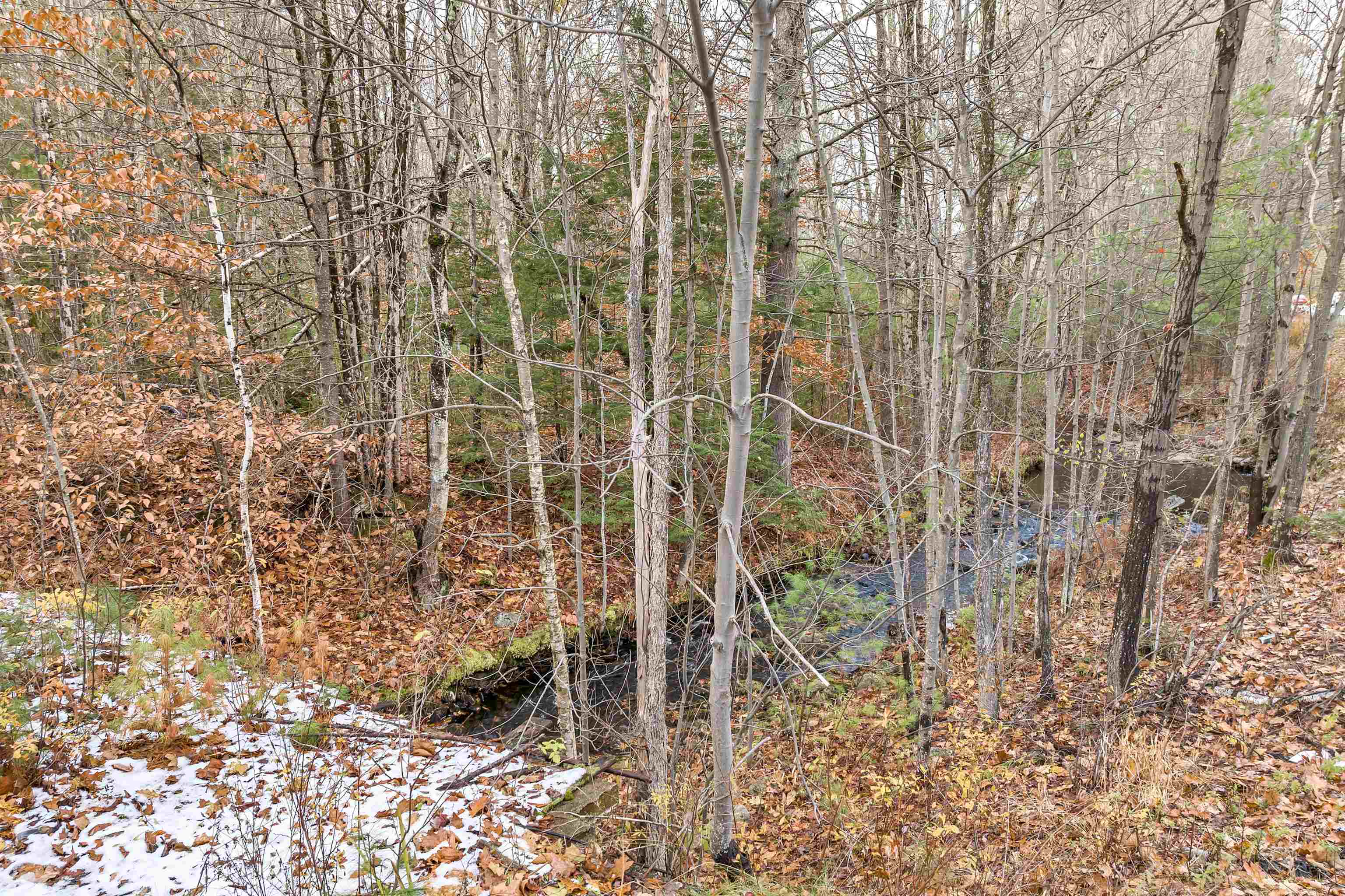 MLS #4977635 image #19