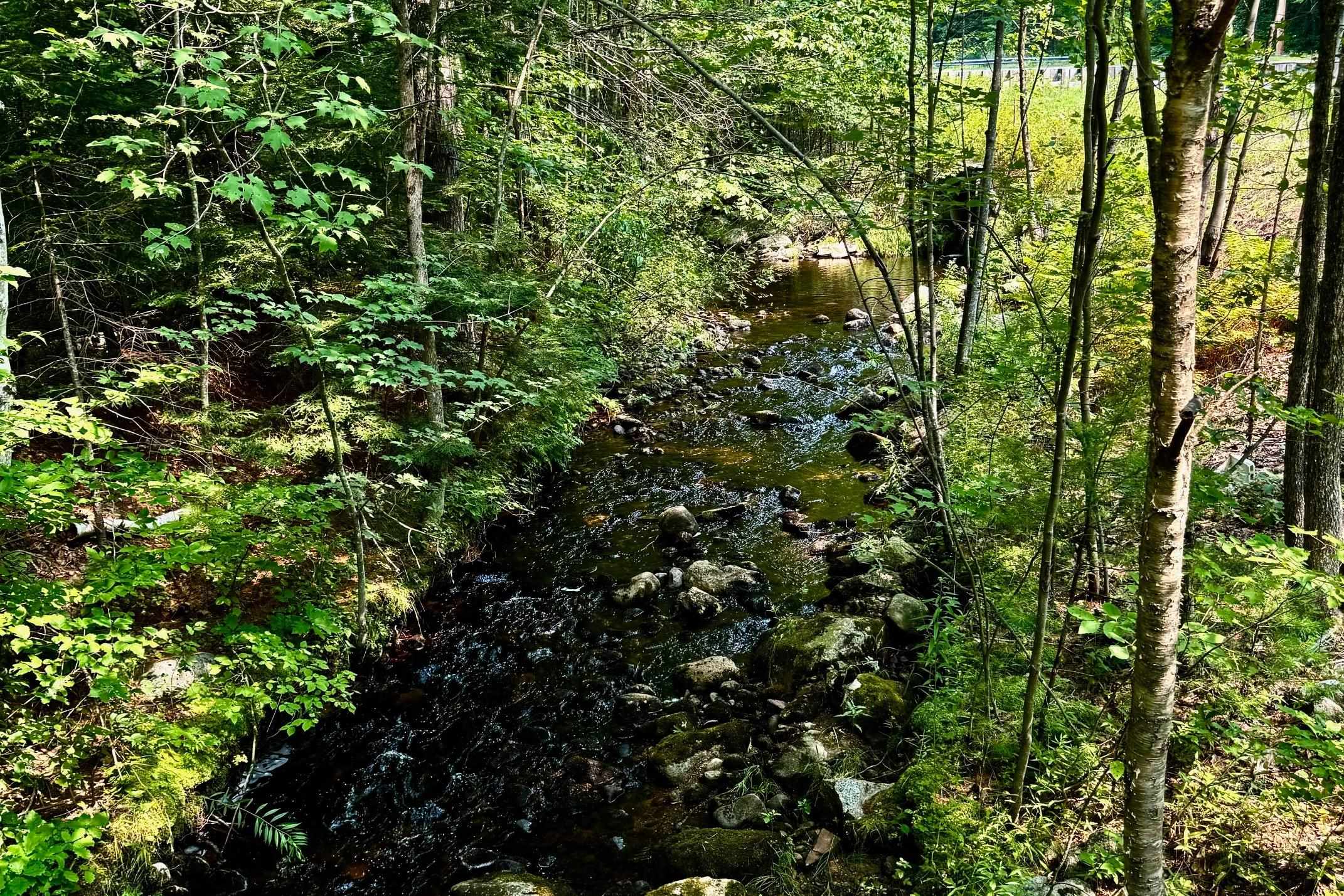 MLS #4977635 image #2