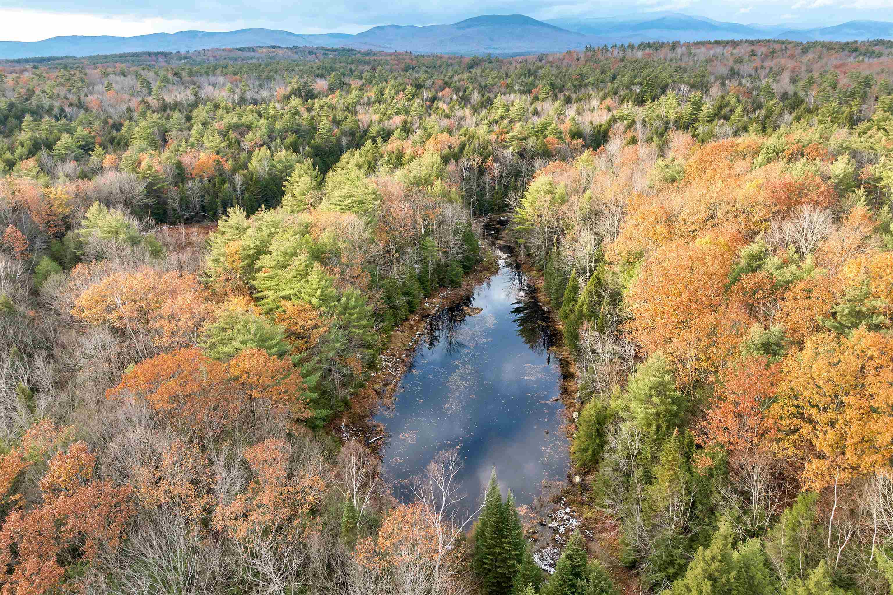 MLS #4977635 image #23