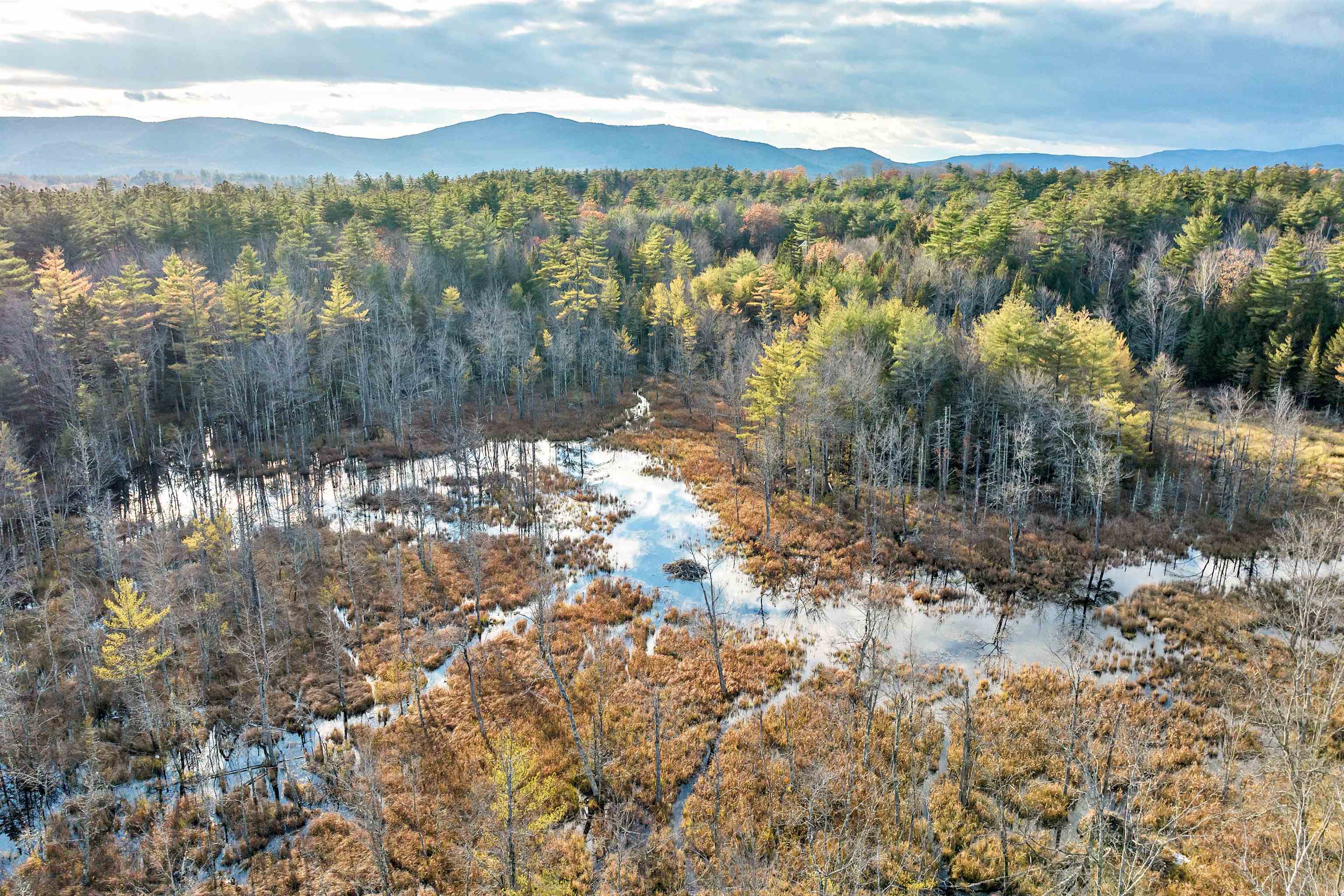 MLS #4977635 image #24