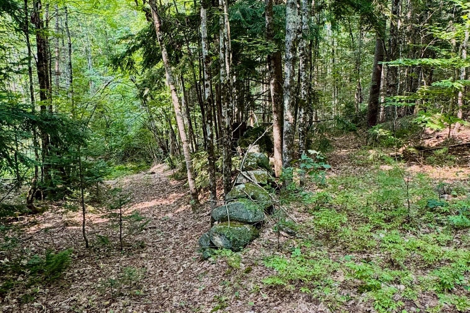 MLS #4977635 image #7