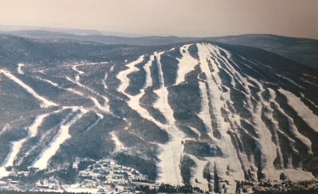 Homes for sale in Dover, VT | 8 B Freestyle Cir, Dover, VT 05356 | MLS# 4978811