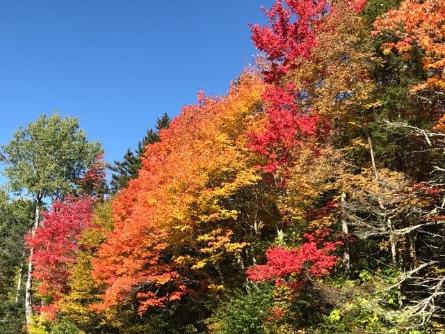 Homes for sale in Dover, VT | 8 A Freestyle Cir, Dover, VT 05356 | MLS# 4978813