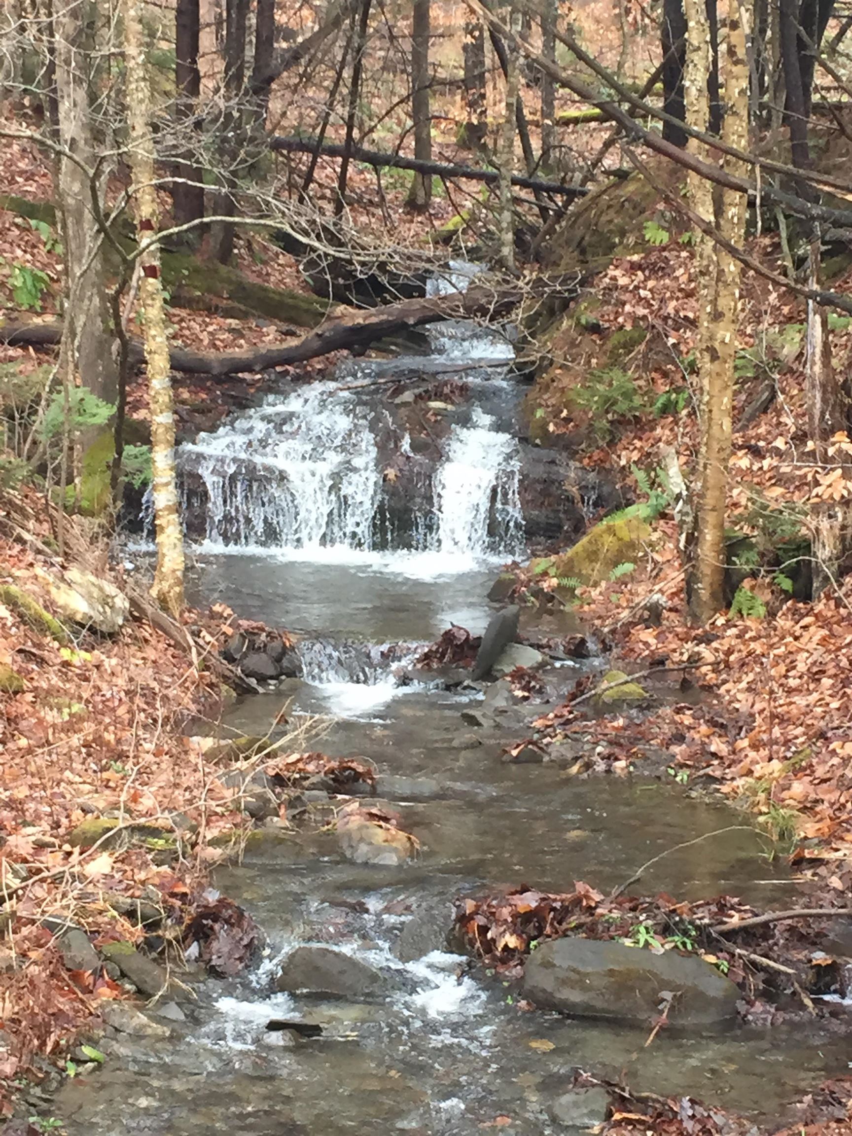 READING VT LAND  for sale $$1,789,000 | 100 Acres  | Price Per Acre $0