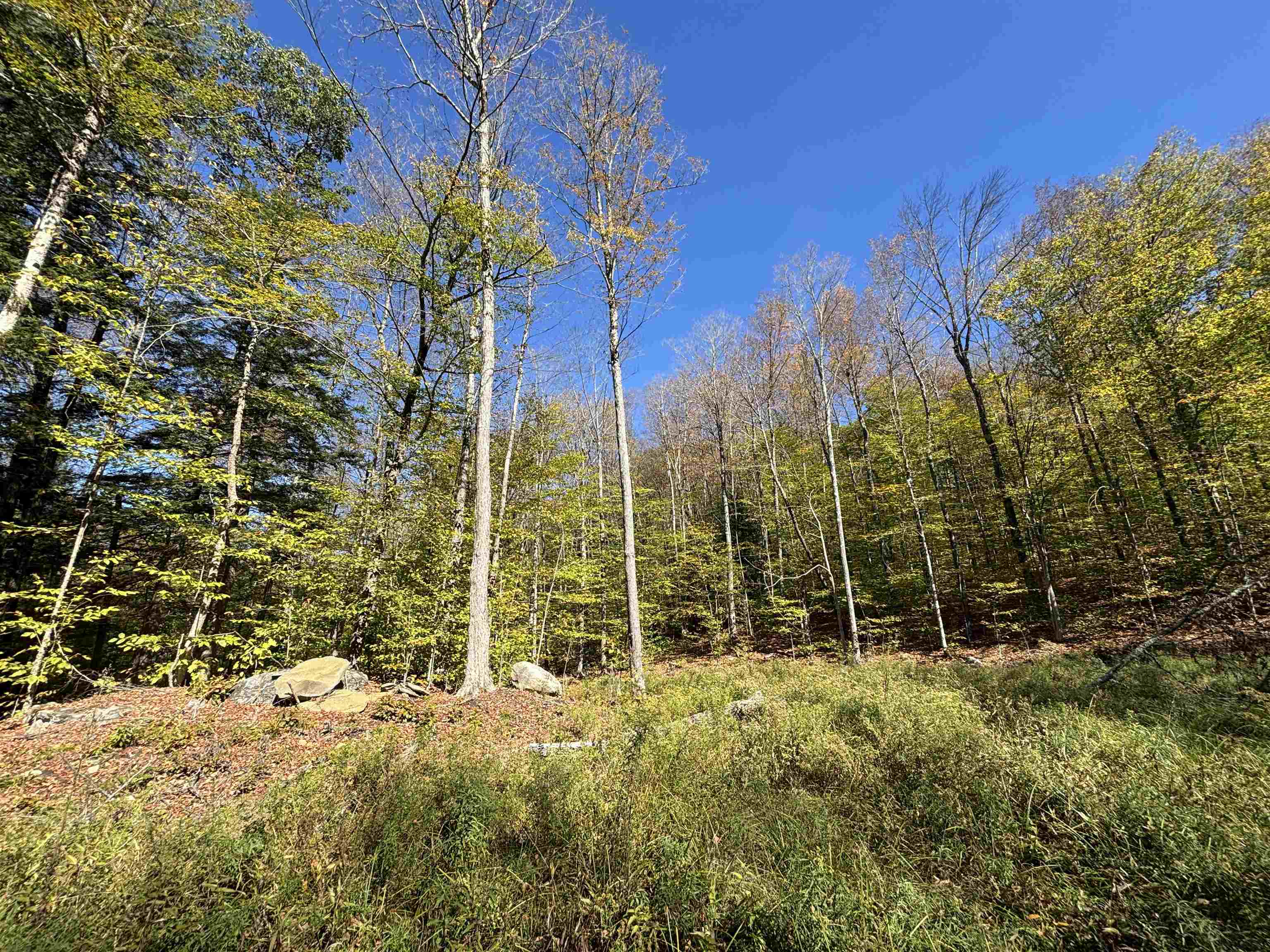 Homes for sale in Chester, VT | 00 Quarry Rd, Chester, VT 05143 | MLS# 4982433