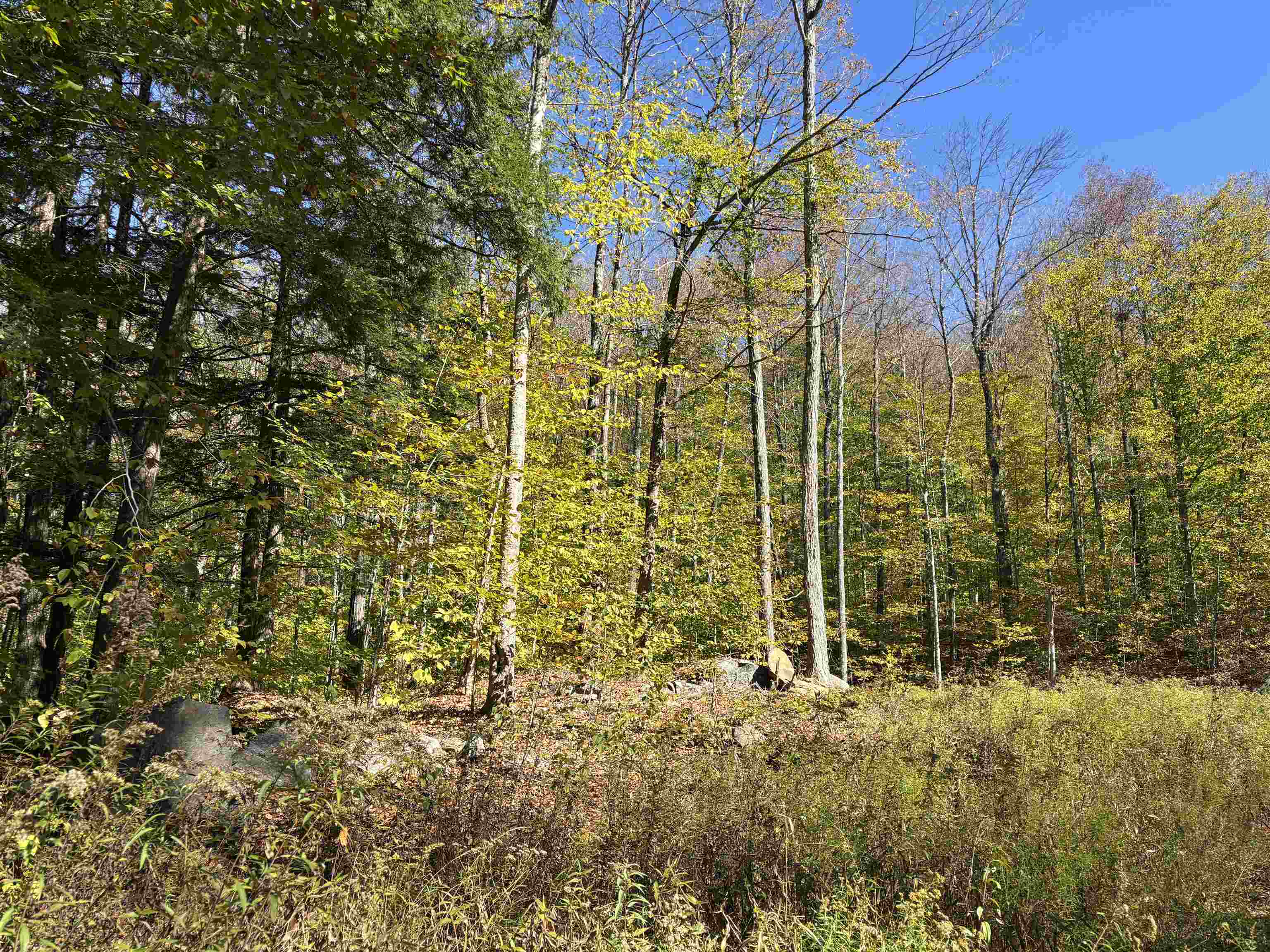 Homes for sale in Chester, VT | 00 Quarry Rd, Chester, VT 05143 | MLS# 4982433