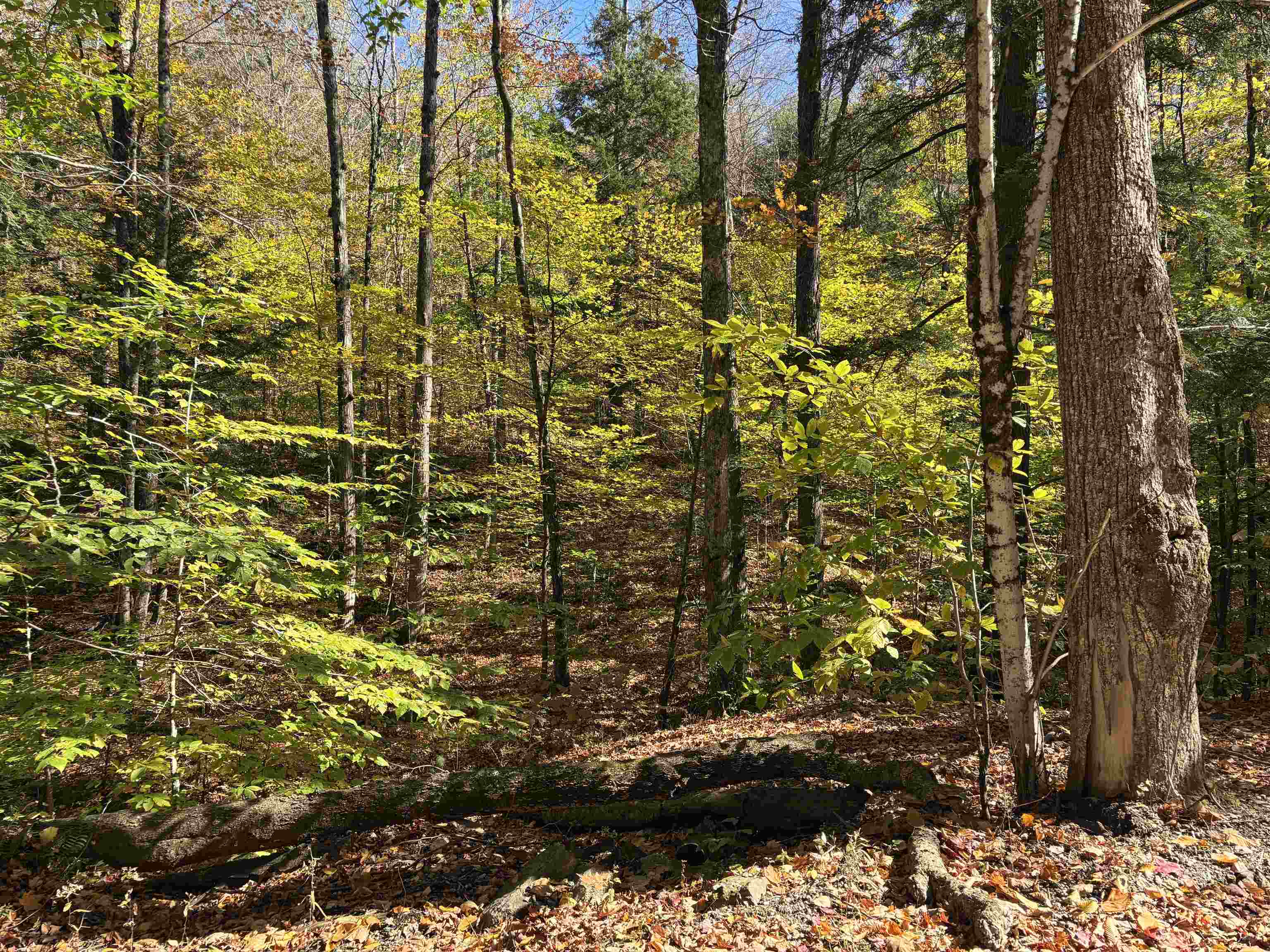 Homes for sale in Chester, VT | 00 Quarry Rd, Chester, VT 05143 | MLS# 4982433