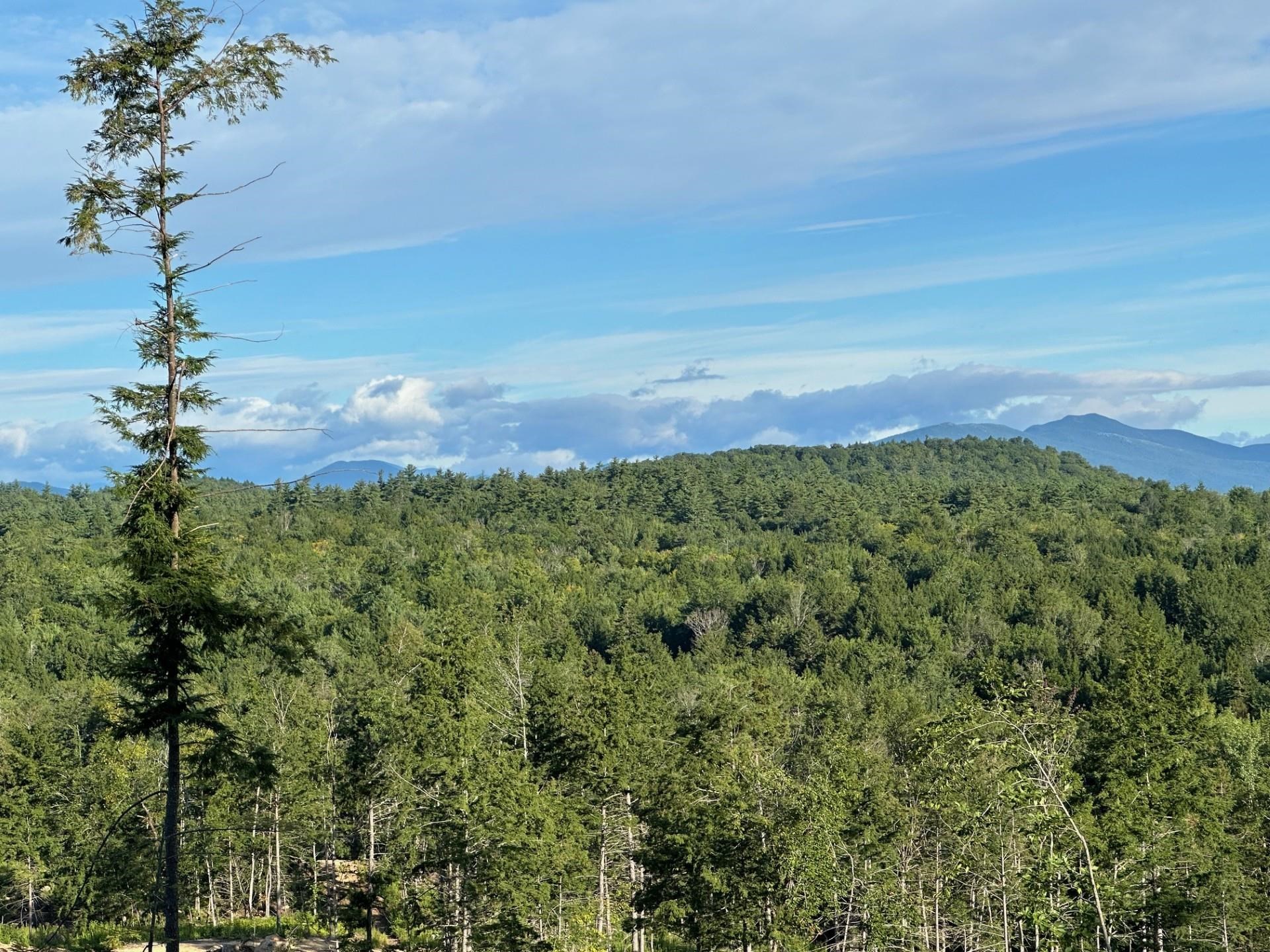 Homes for sale in Eaton, NH | 00 Brownfield Rd, Eaton, NH 03832 | MLS# 4984221