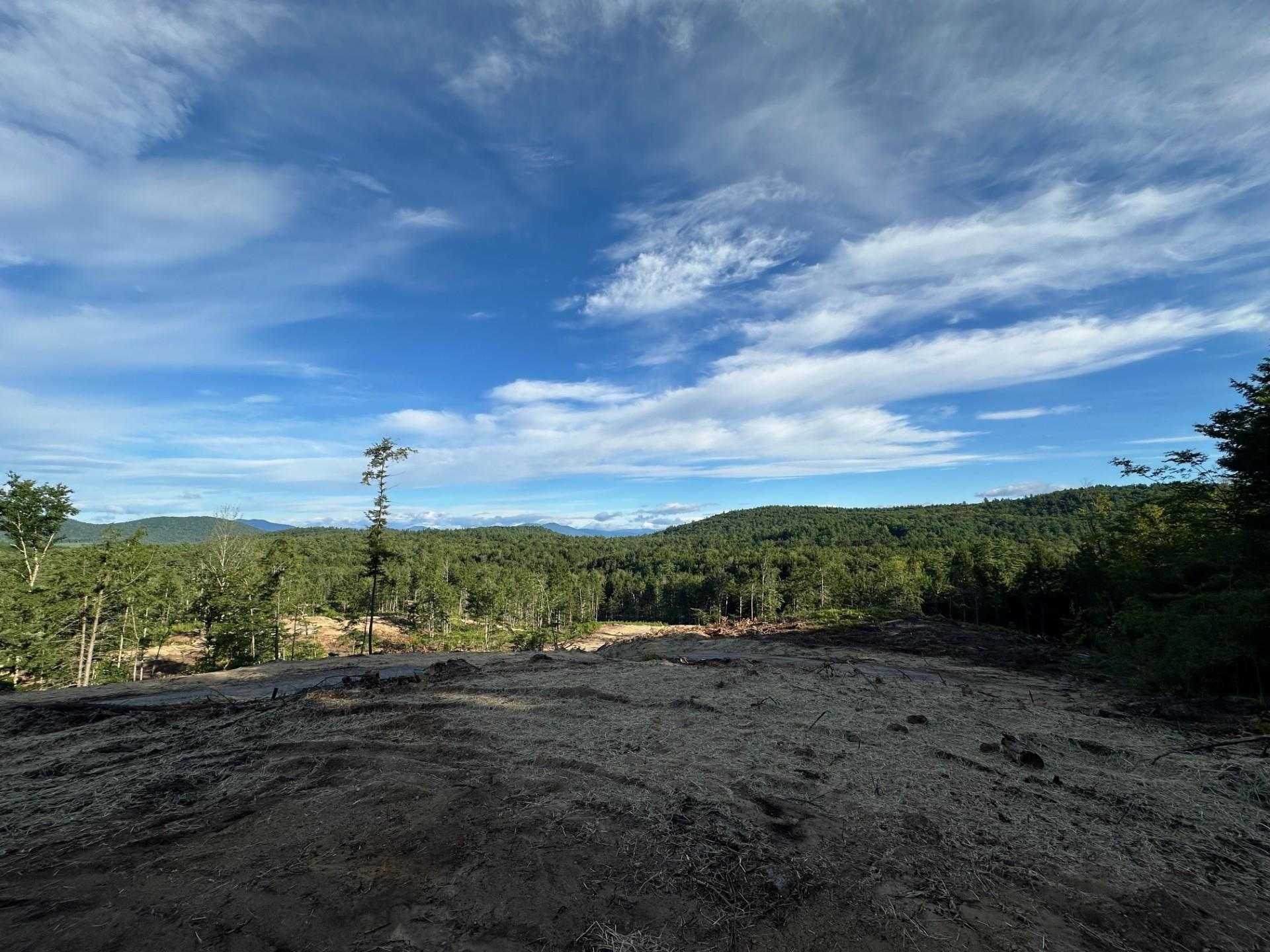 Homes for sale in Eaton, NH | 00 Brownfield Rd, Eaton, NH 03832 | MLS# 4984221