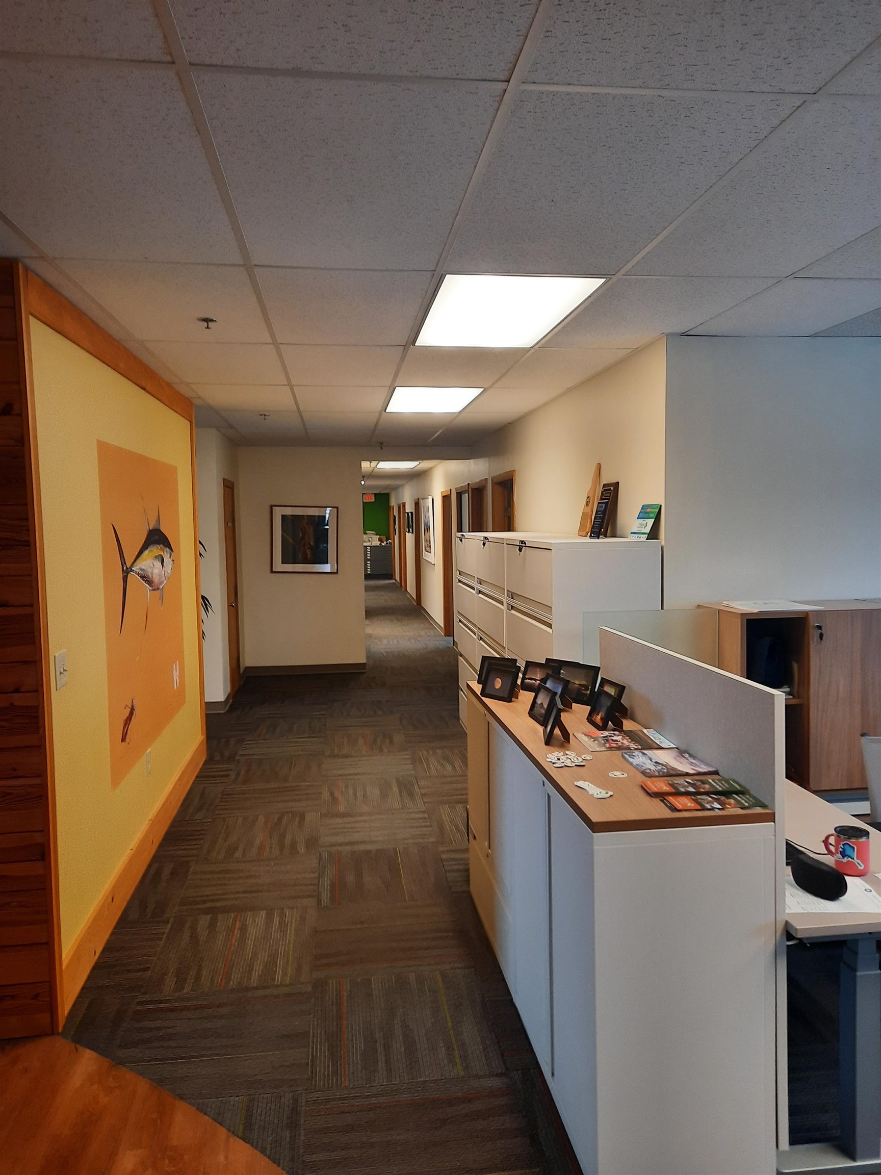 MLS #4985002 image #6