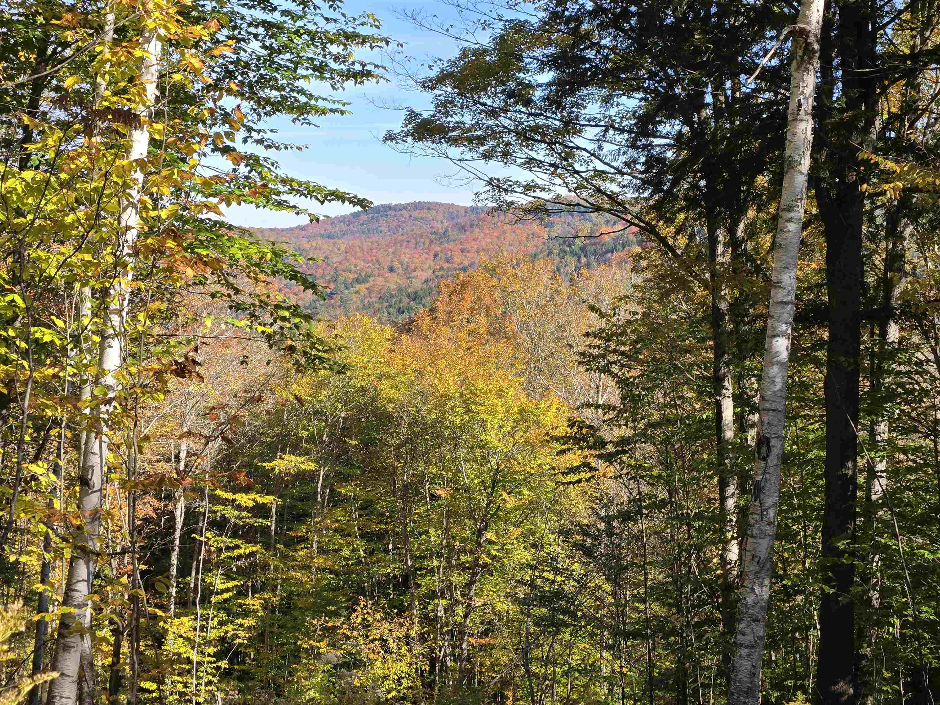 Homes for sale in Barnard, VT | 000 West Rd, Barnard, VT 05031 | MLS# 4985014