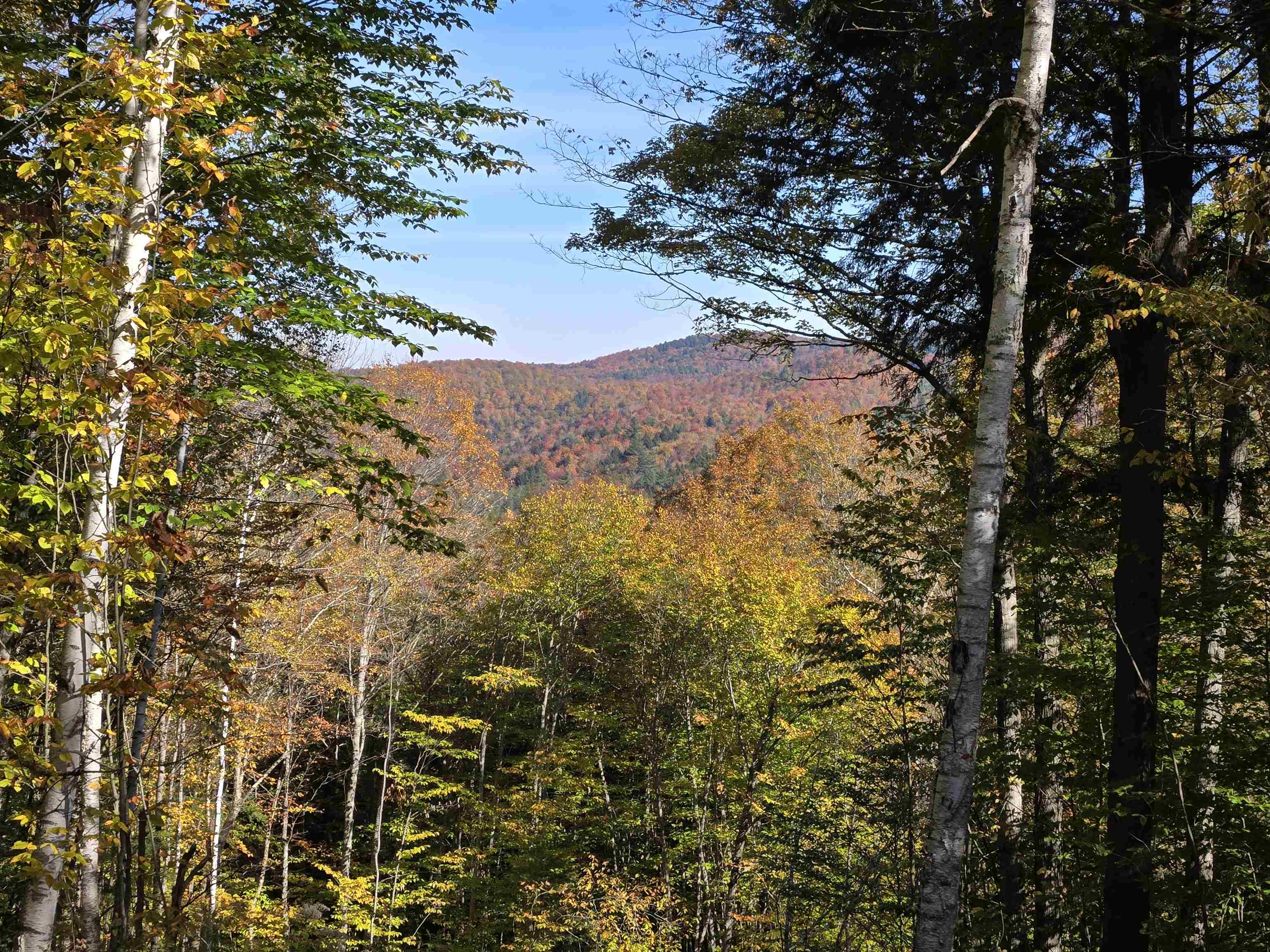 Homes for sale in Barnard, VT | 000 West Rd, Barnard, VT 05031 | MLS# 4985014