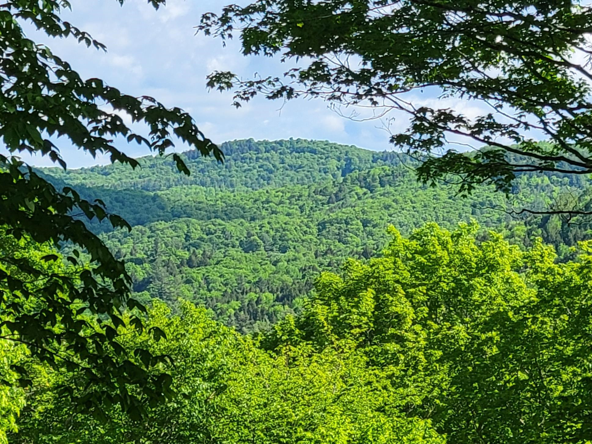 Homes for sale in Barnard, VT | 000 West Rd, Barnard, VT 05031 | MLS# 4985014